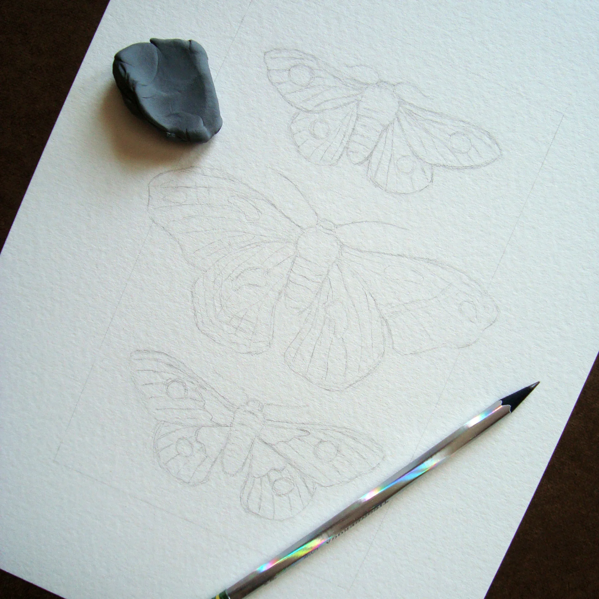 Moths-pencil3.jpg