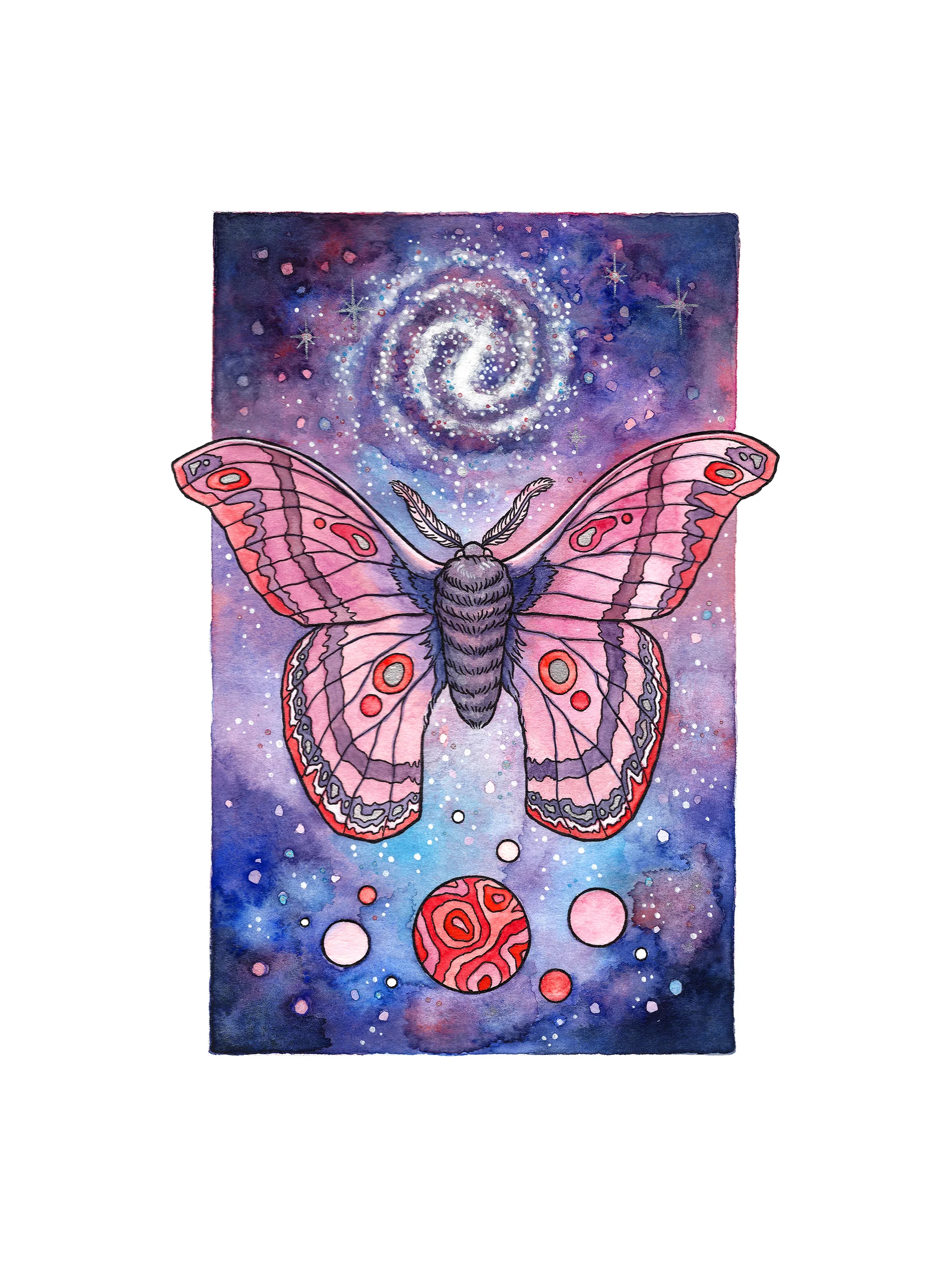 SpaceMoth-WEB.jpg