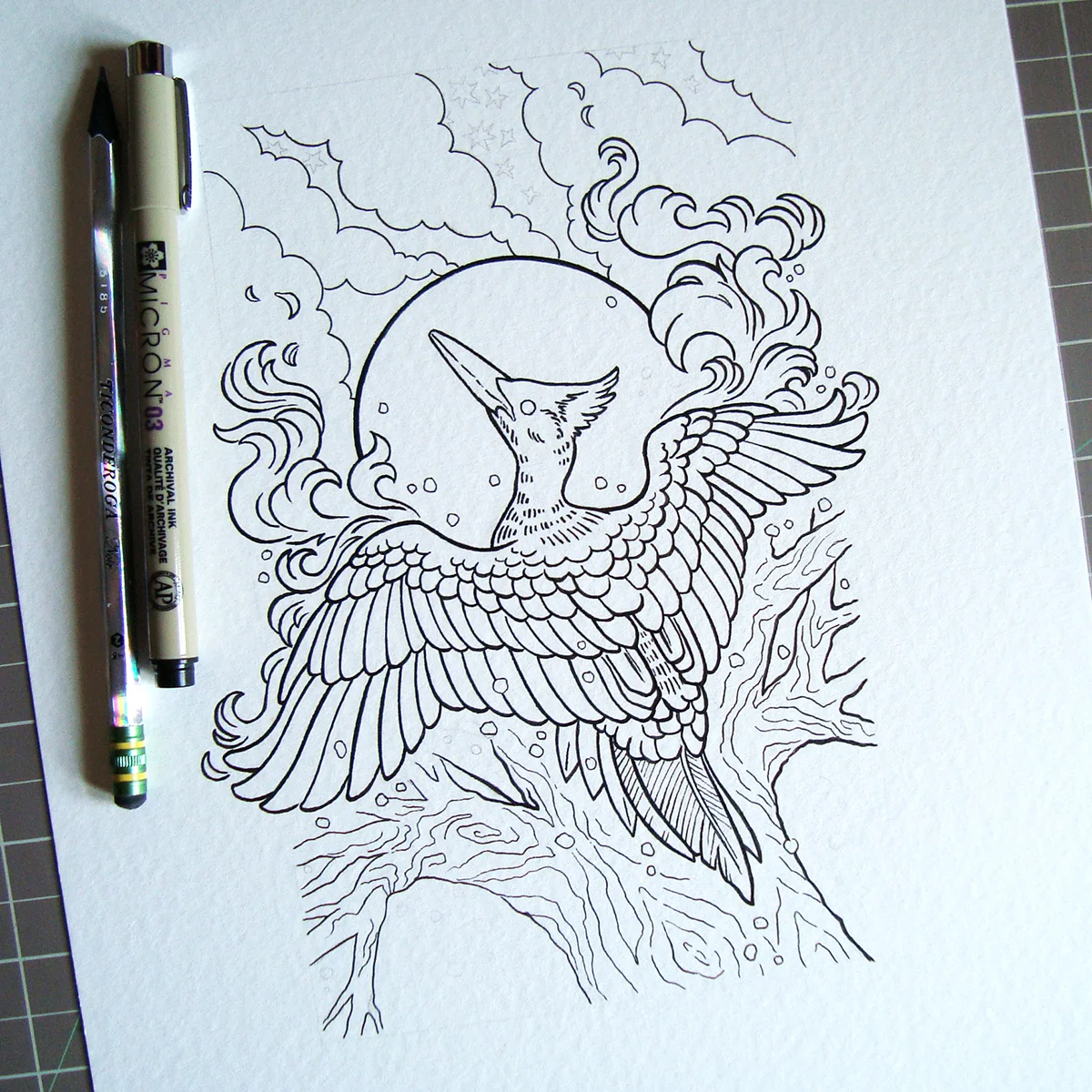 LordGodBird-process2.jpg