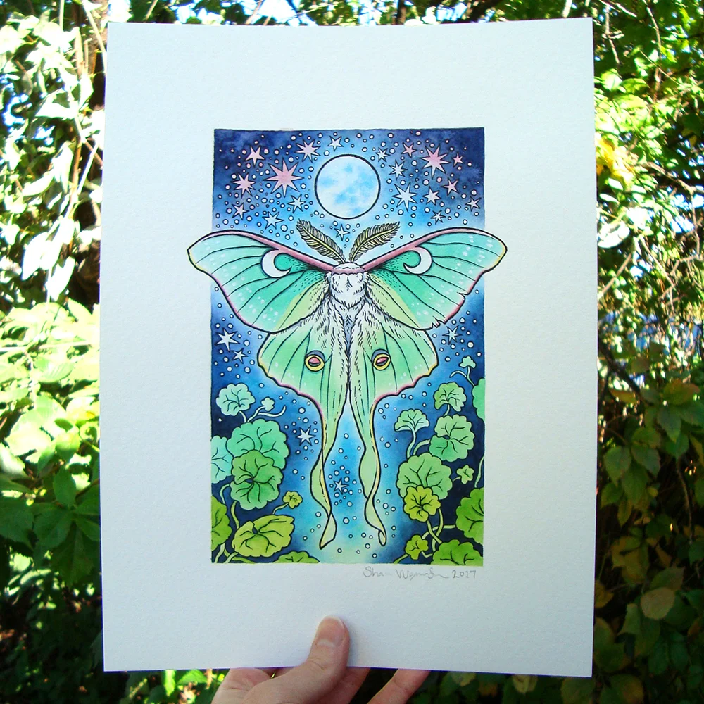 Ink + Watercolor