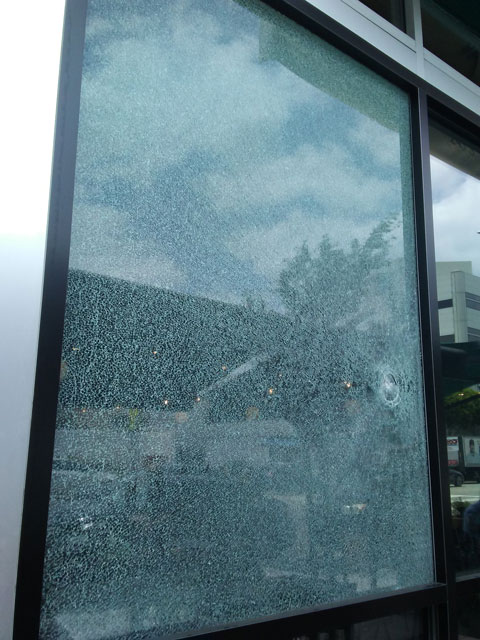 Tempered Storefront Window glass broken by an object impact.
