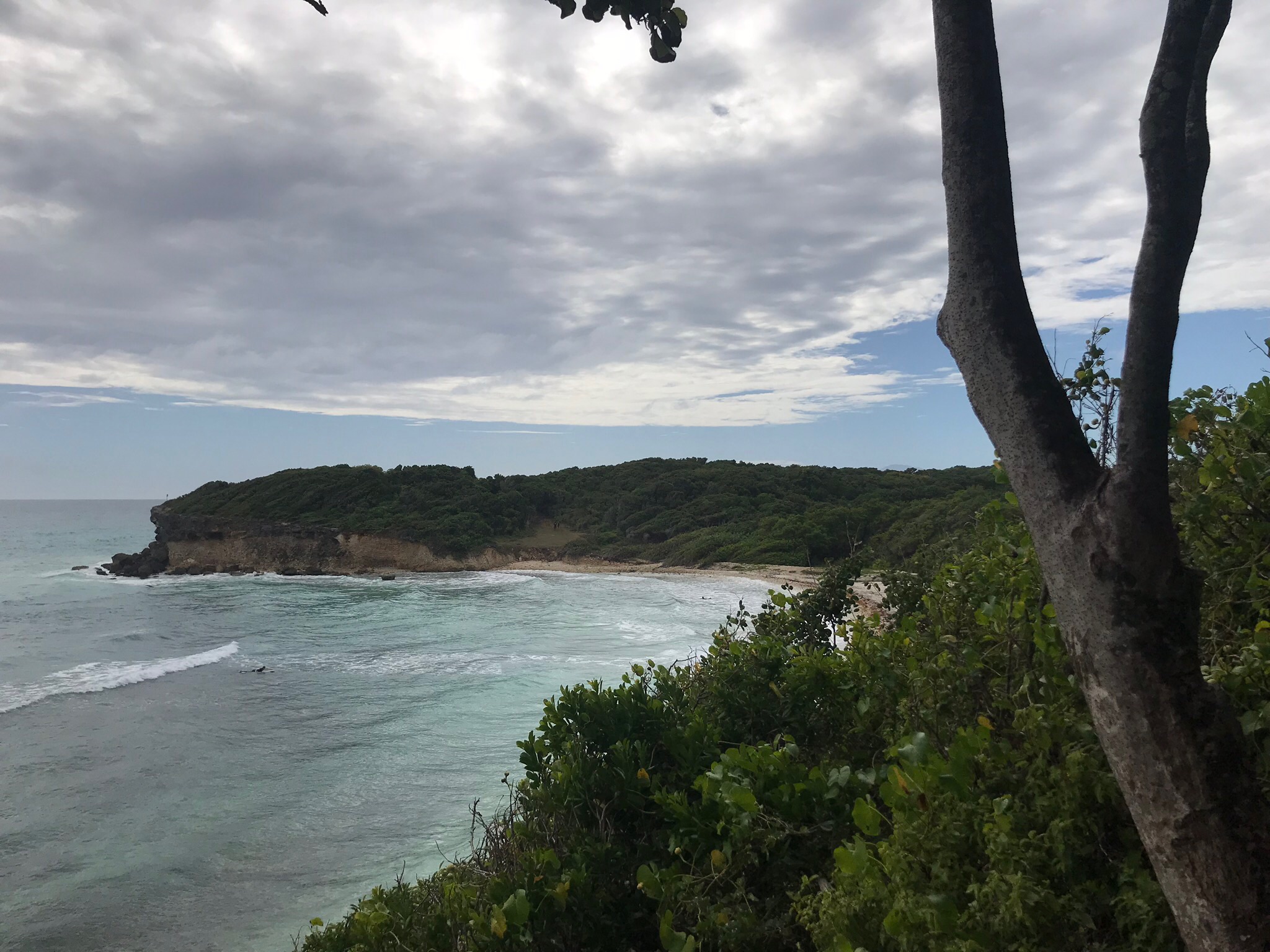 The French Caribbean Island I Thought