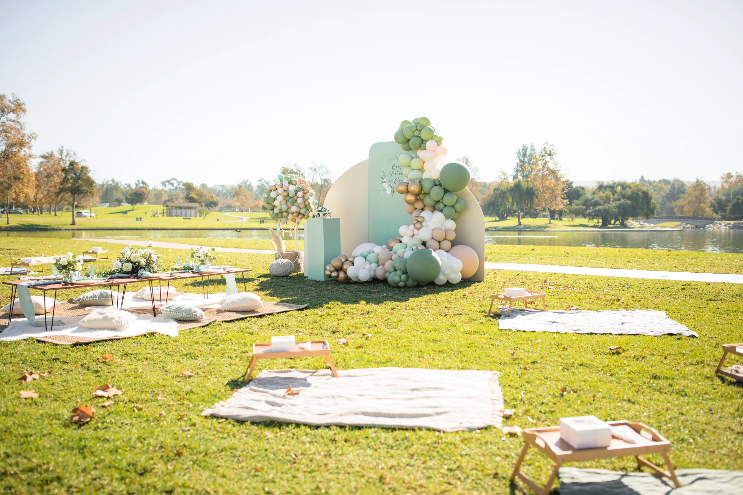 COVID Safe Baby Showers and Birthdays — Love Her Madly