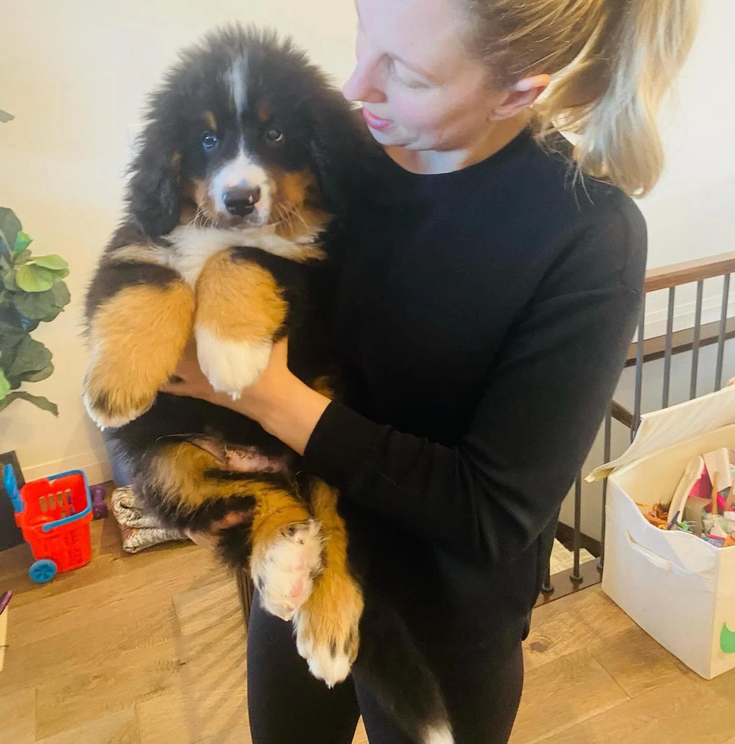 Let&rsquo;s watch Hank grow 🥰🥹 11wks