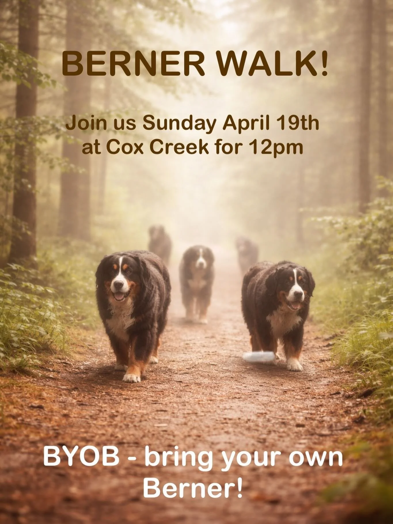 We couldn&rsquo;t be more excited to bring back our Berner Walks!! This time, we couldn&rsquo;t think of a better venue than Cox Creek. 
Please RSVP at the link below. More event details below!
https://forms.gle/m4rQ5wEfH3G9Y1Vn6
