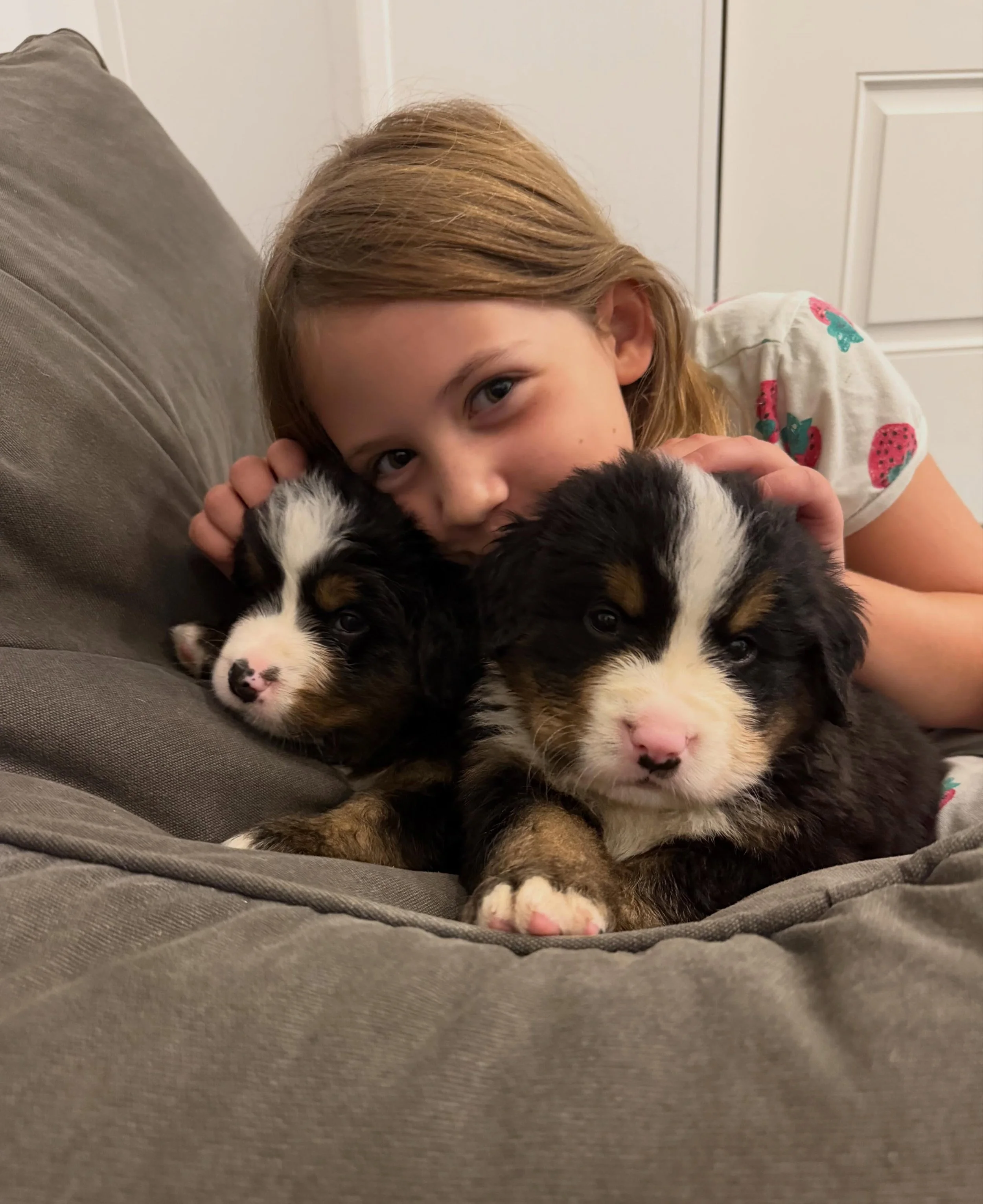 These are the mornings and moments that make it all worth it. 
I will always cherish our morning coffees and snuggles with the puppies. 🥰😌
.
.
#thesmallthings #precious #bernesepuppy #puppylove #bernesemountaindog