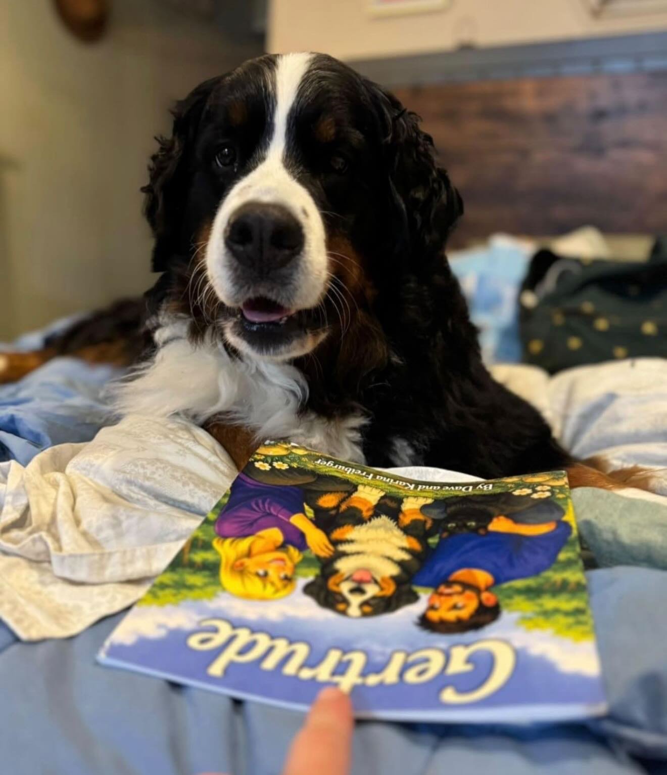 📚🐾 We LOVE seeing Gertrude become part of your family&rsquo;s story! 🐾📚

One of our favourite things about creating Gertrude has been seeing families enjoy her story together. Whether it&rsquo;s a little one reading with their favourite four-legg