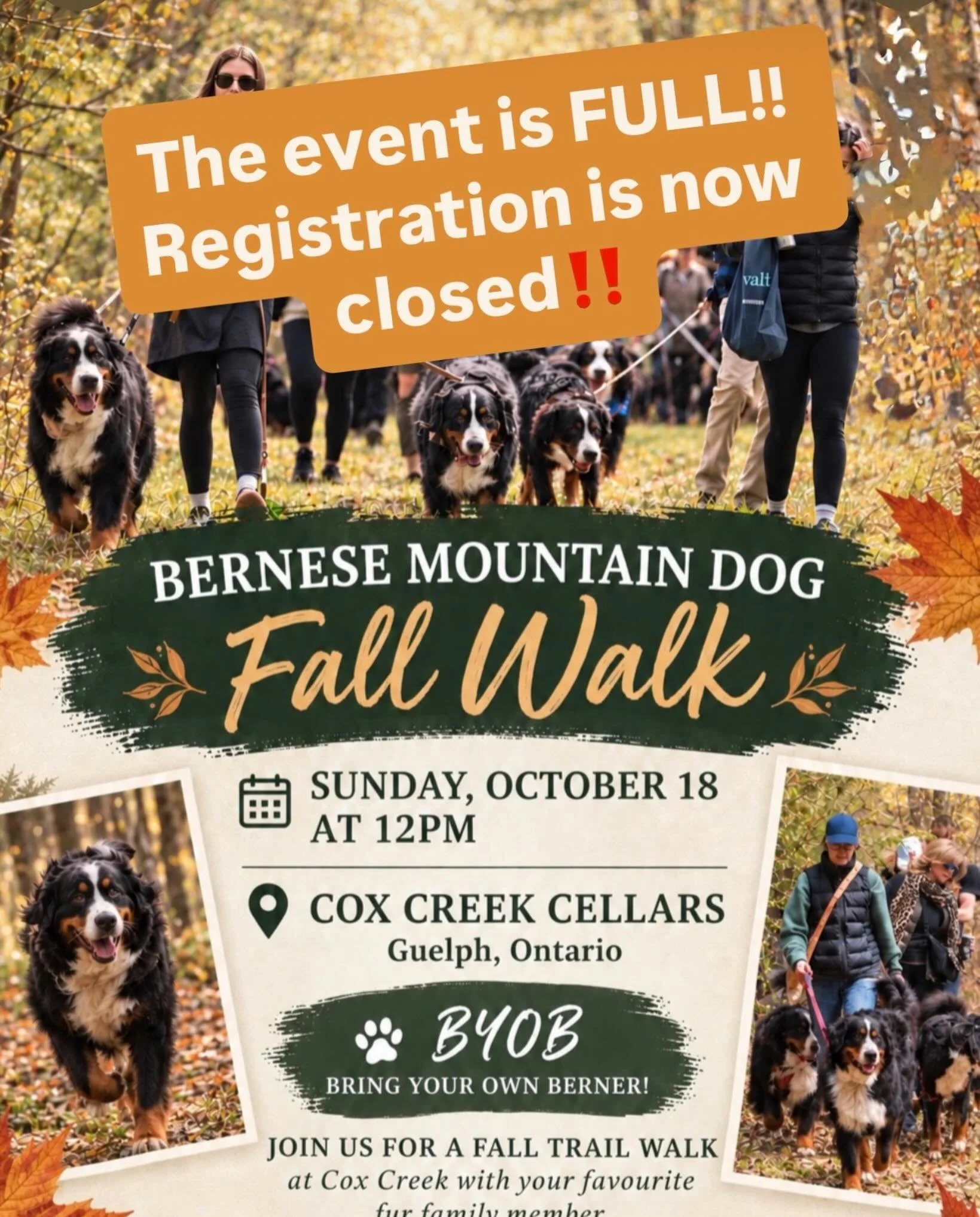 🚨 REGISTRATION IS FULL! 🚨

200+ PEOPLE.
100 BERNESE MOUNTAIN DOGS.

We honestly can&rsquo;t believe it.

Thank you to everyone who registered for our Freiberners Fall Bernese Walk! ❤️

We cannot wait to bring our Bernese community together at Cox C