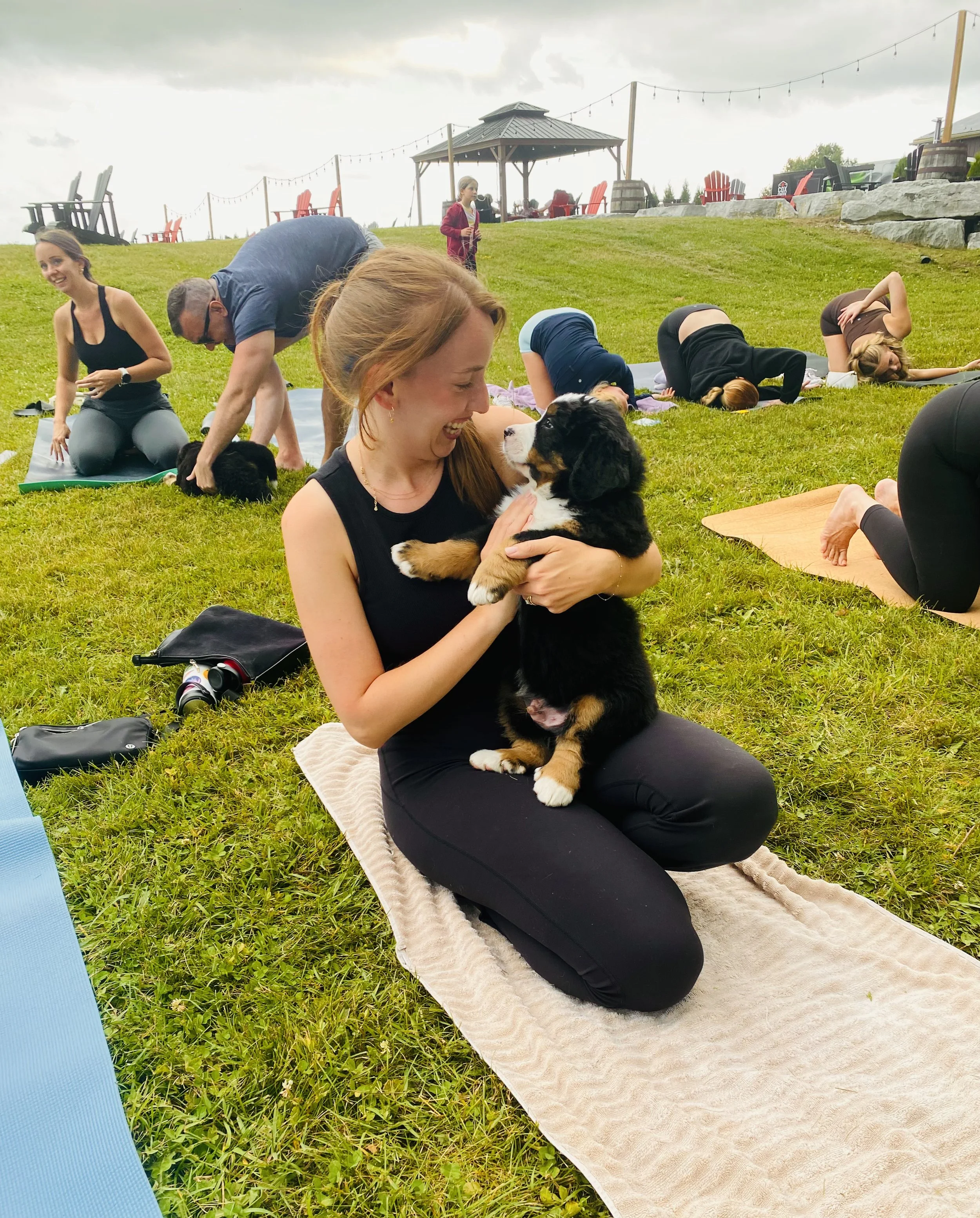 Puppy Yoga 2.jpg (Copy)