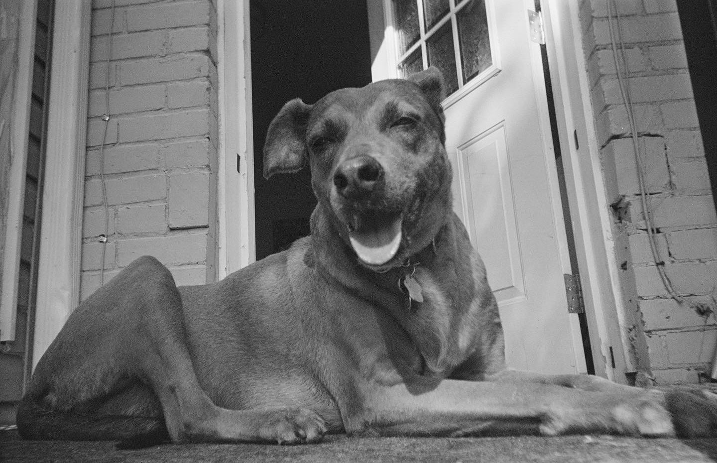 witheredtween_3344879127877208477's2026-2-26-0.32.238 story.jpg