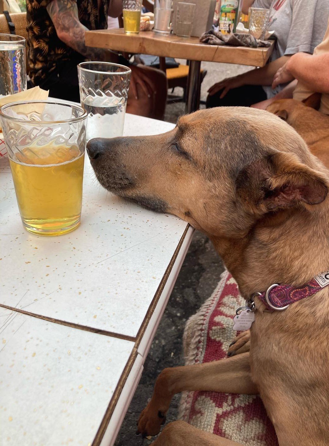 witheredtween_2649850498654728096's2026-2-26-0.35.578 story.jpg