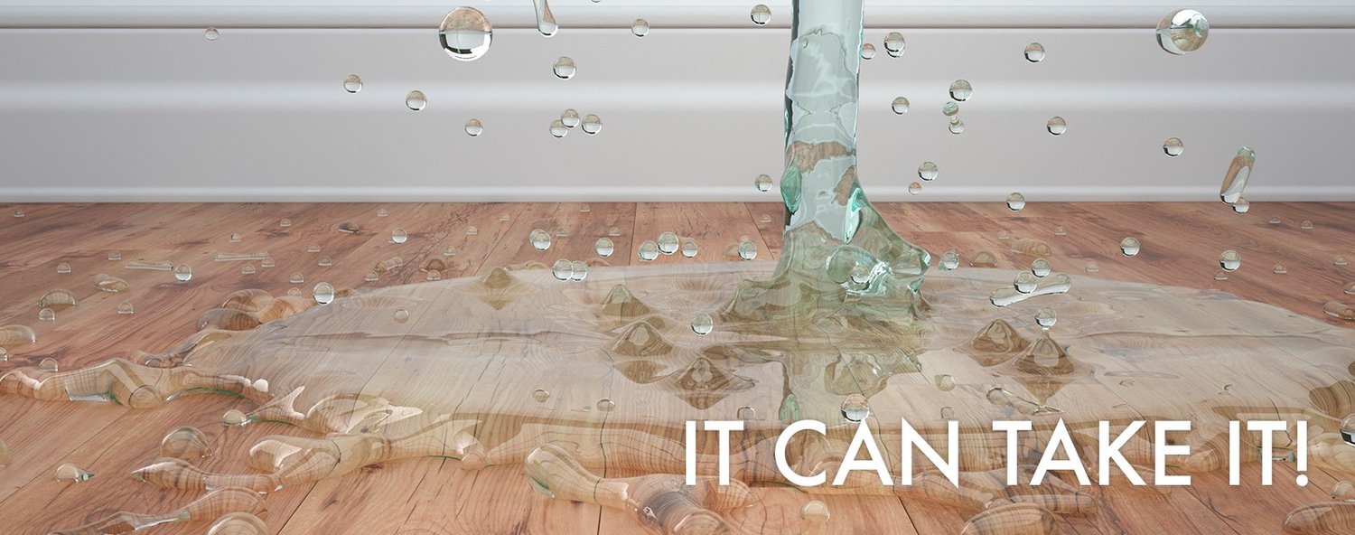 Paradigm_HomeHeader-opt.jpg