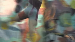 Pelican (revised) (2008)