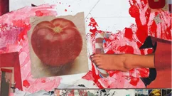 Untitled (as of yet) (2011)