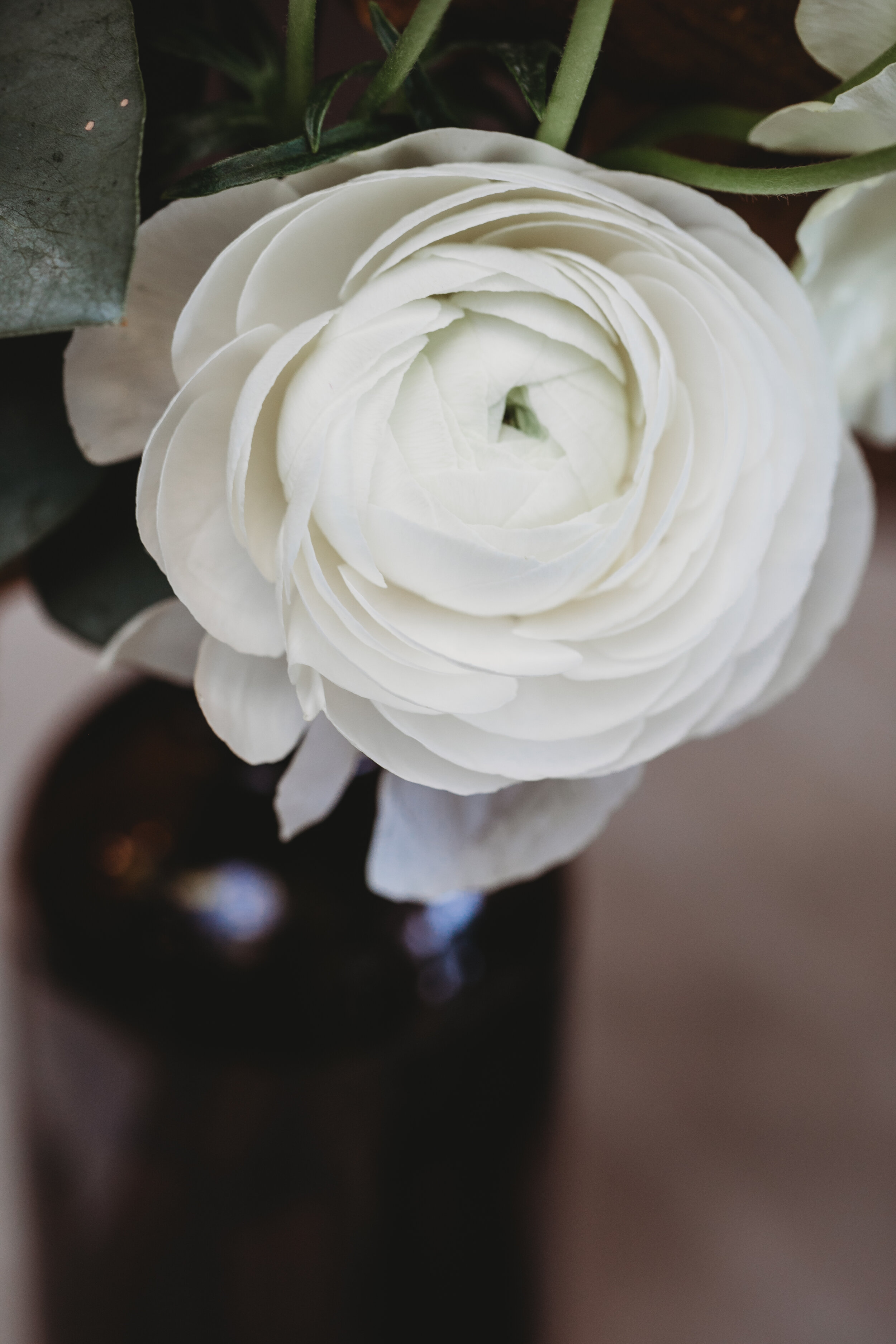 _J0A8388 - Copy.jpg