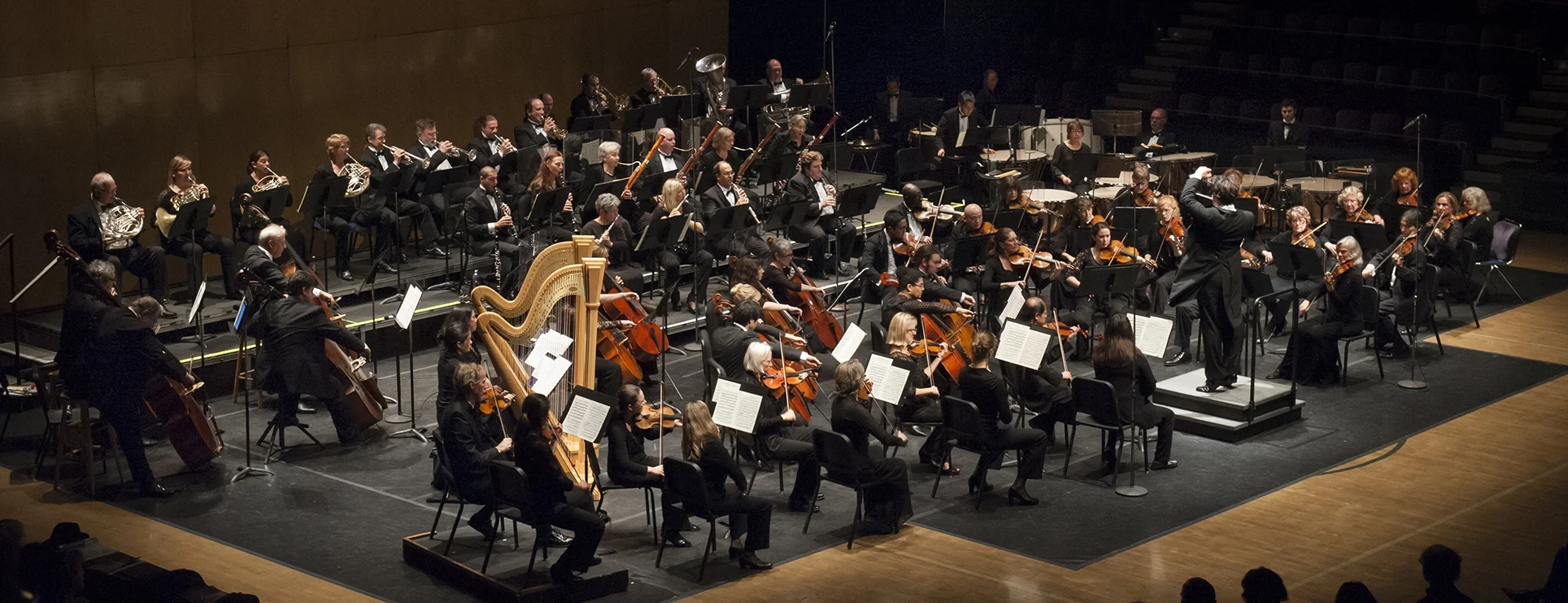 scsymphony_7x5_300dpi_by_stefan_cohen.jpg