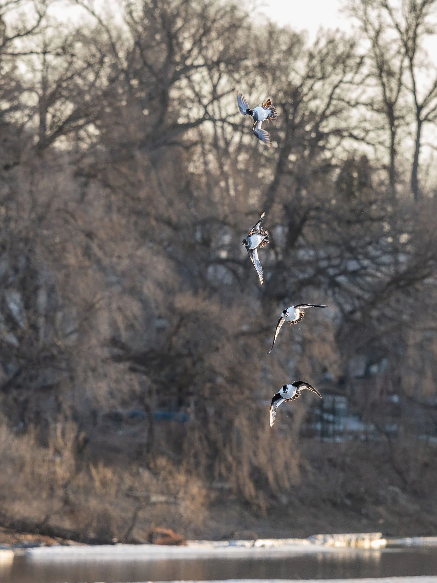blog-20260503-goldeneye-2.jpg