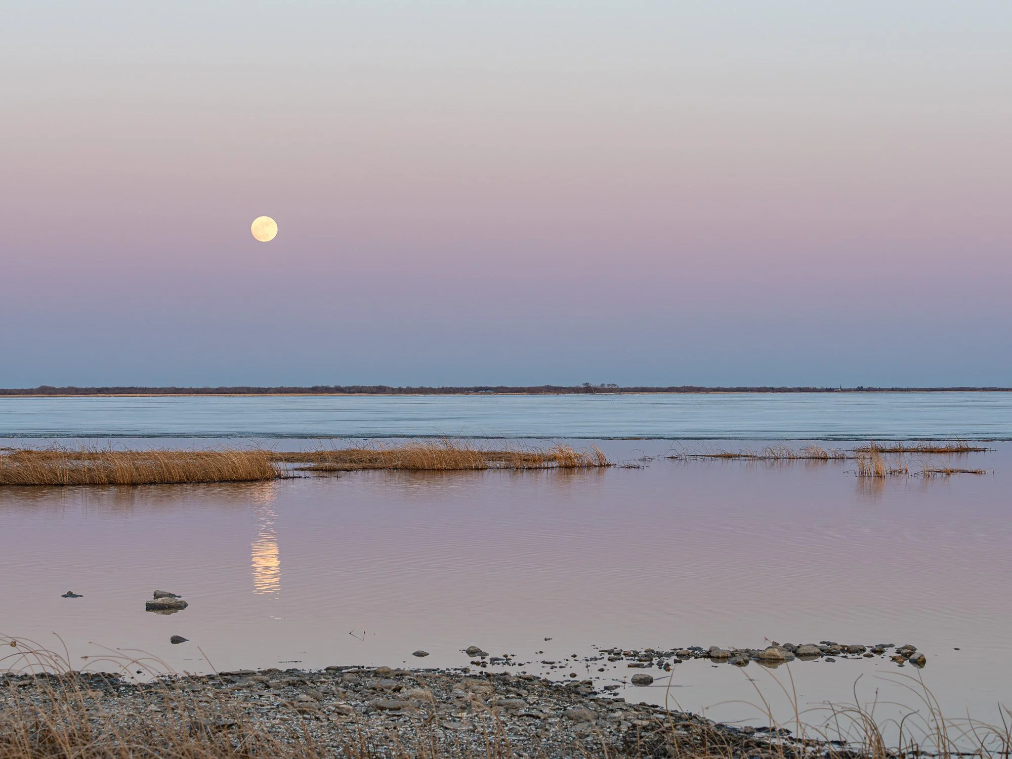 Spring Moonrise