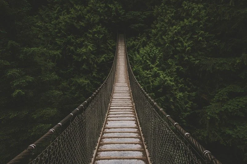 Building a Bridge in Recovery