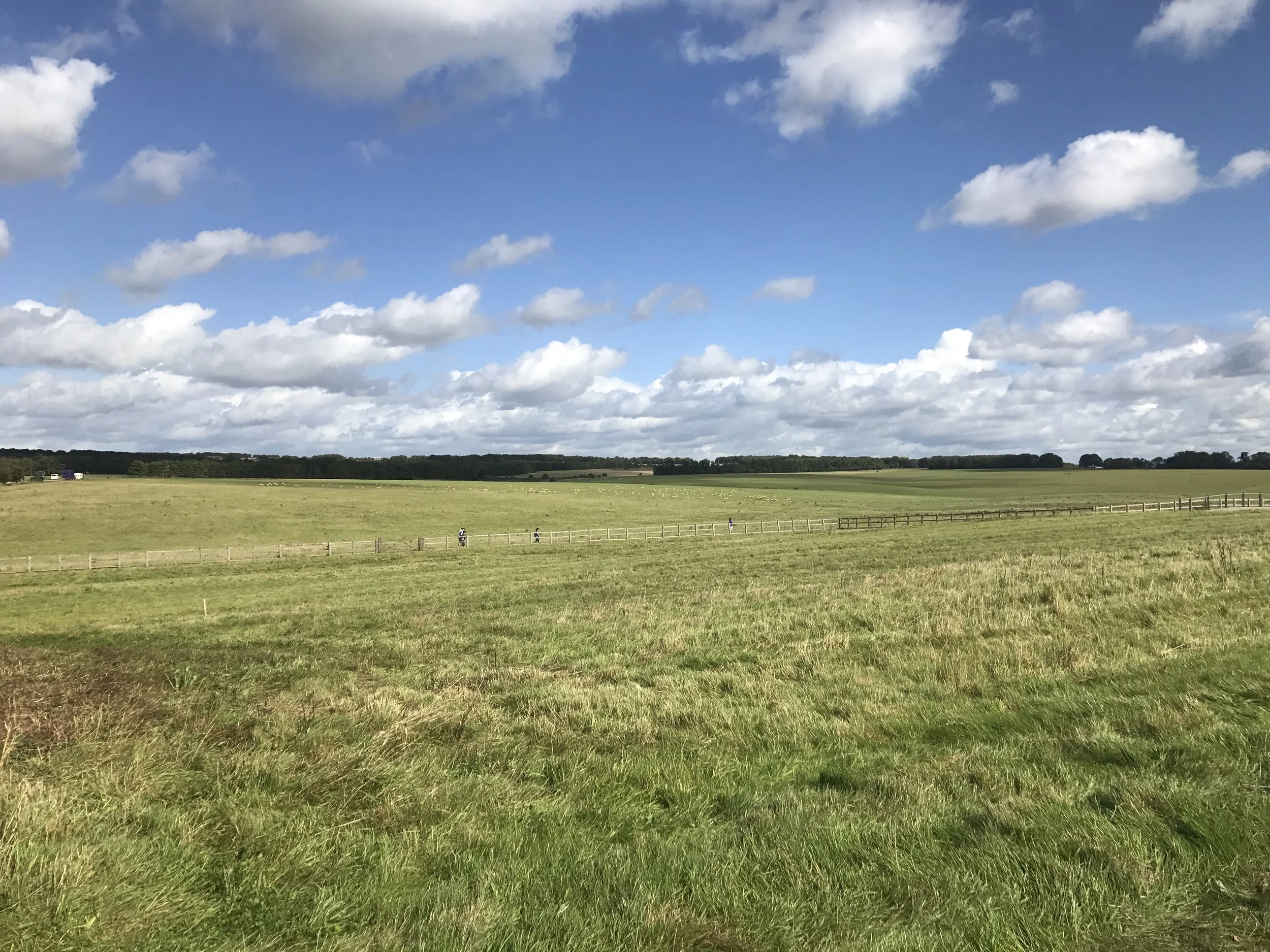 "Excuse me while I kiss the sky" - (KK)