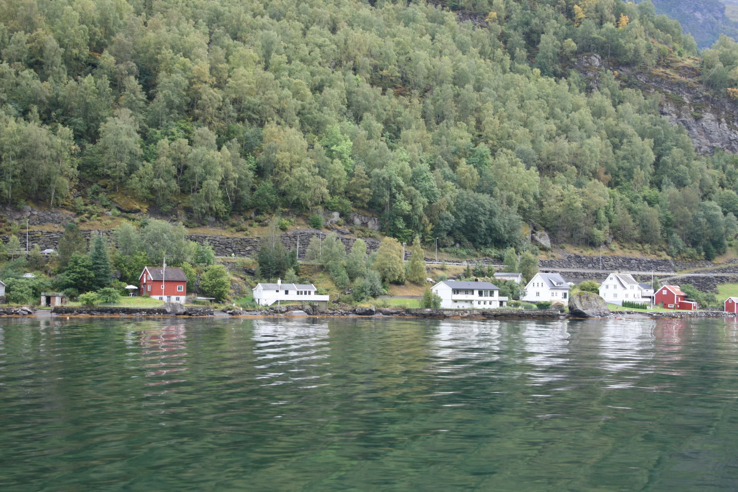 IMG_7729.JPG