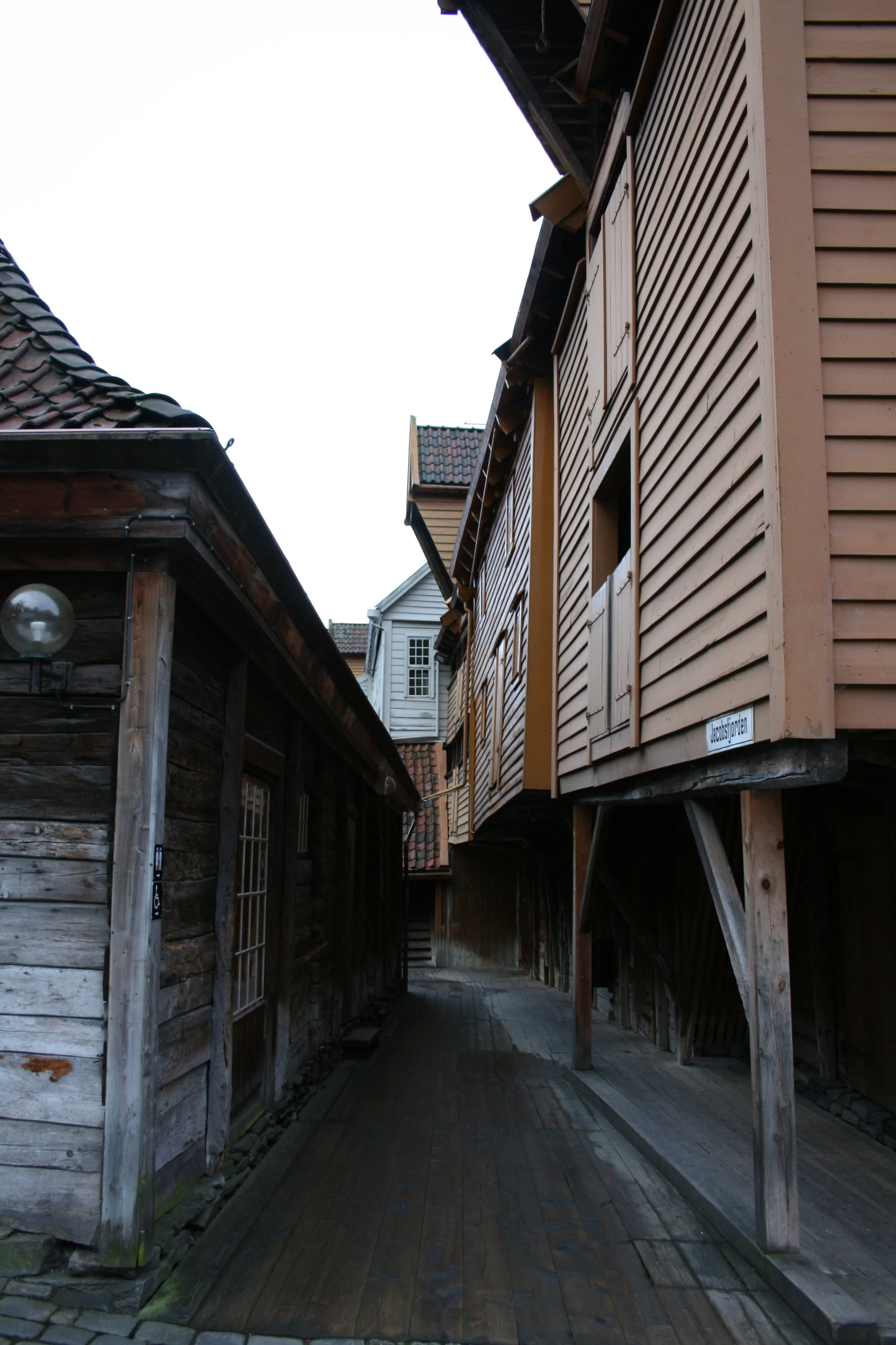 IMG_7951.JPG
