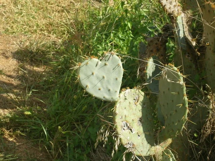 Cœurs et lumière - KK