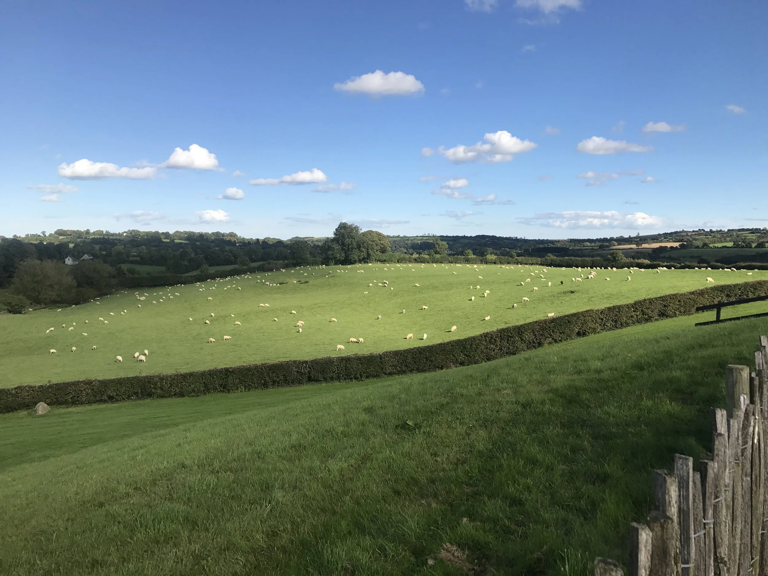 10 Things we learned in Ireland - (KK/LL)