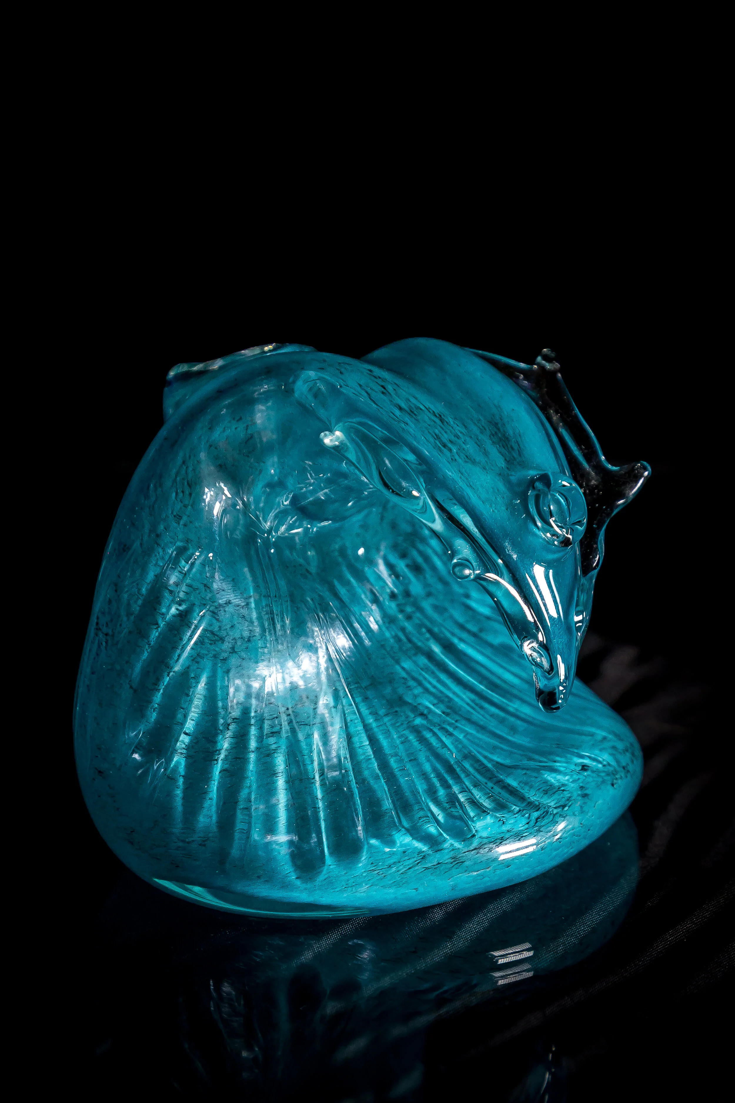 HiBred - COVID Series (19 of 50).jpg