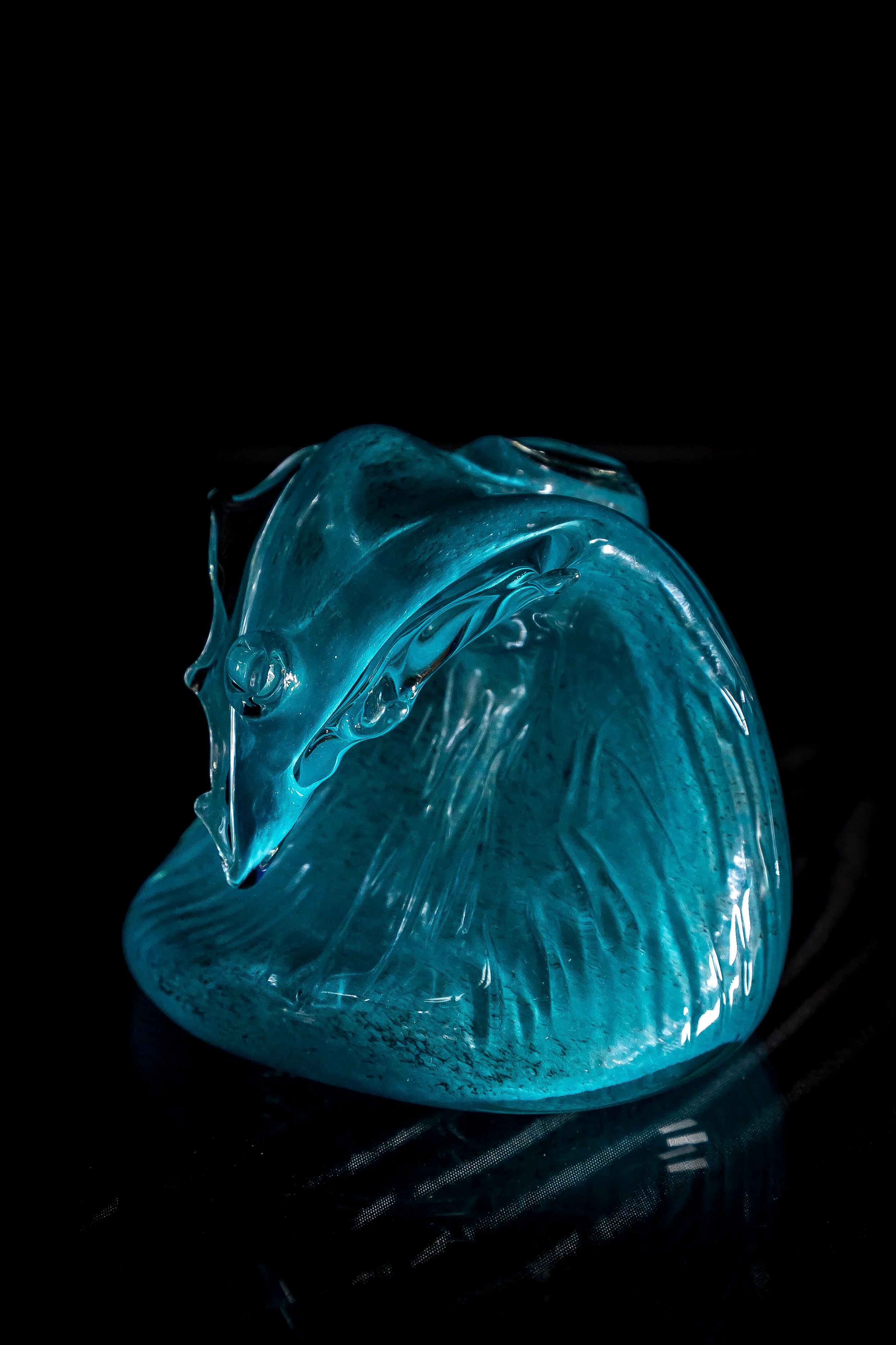 HiBred - COVID Series (20 of 50).jpg