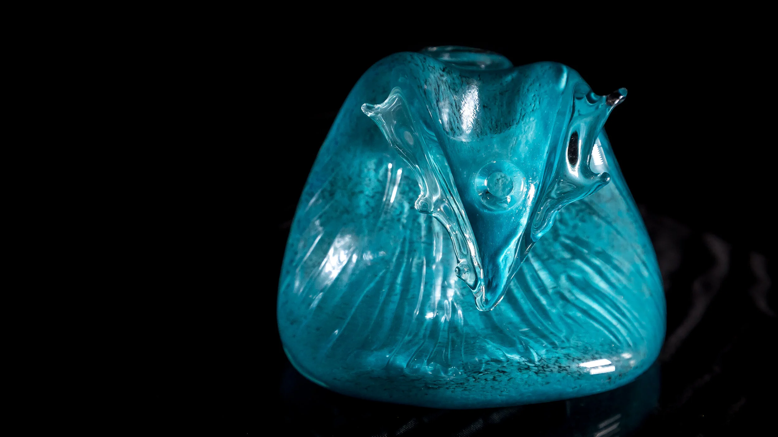 HiBred - COVID Series (26 of 50).jpg