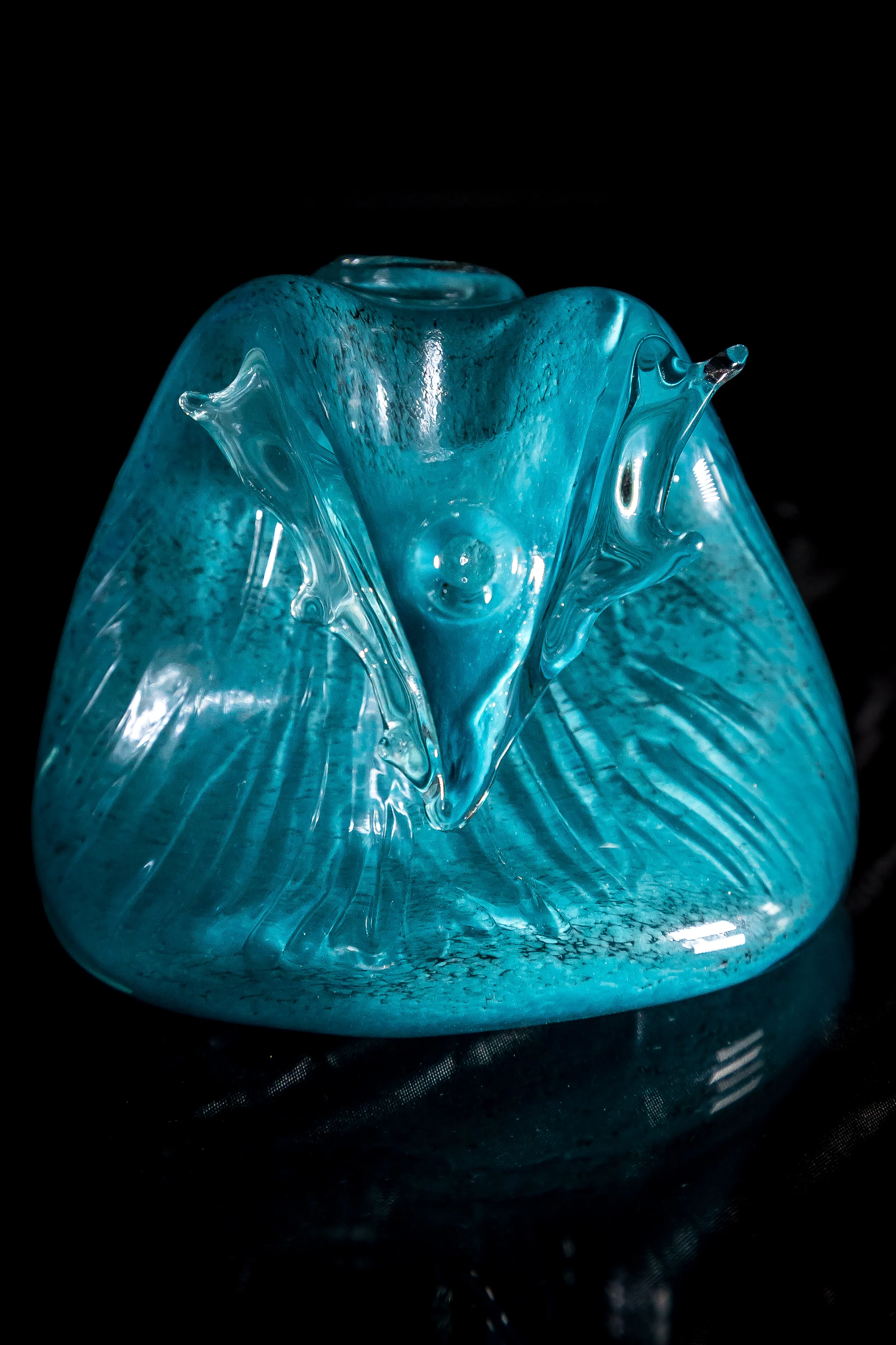 HiBred - COVID Series (27 of 50).jpg