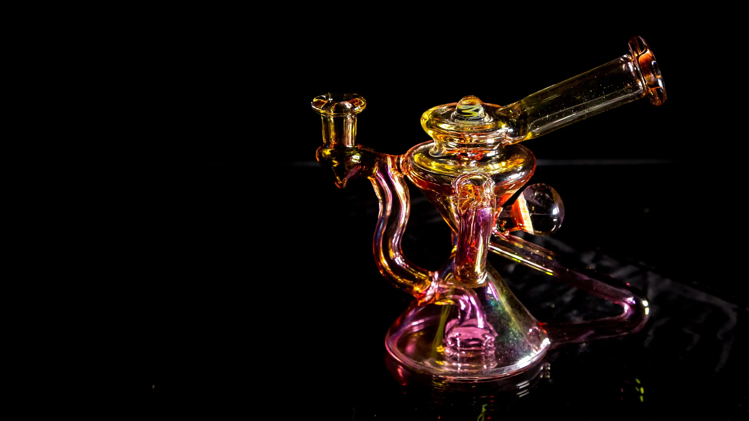 HiBred - COVID Series (29 of 50).jpg
