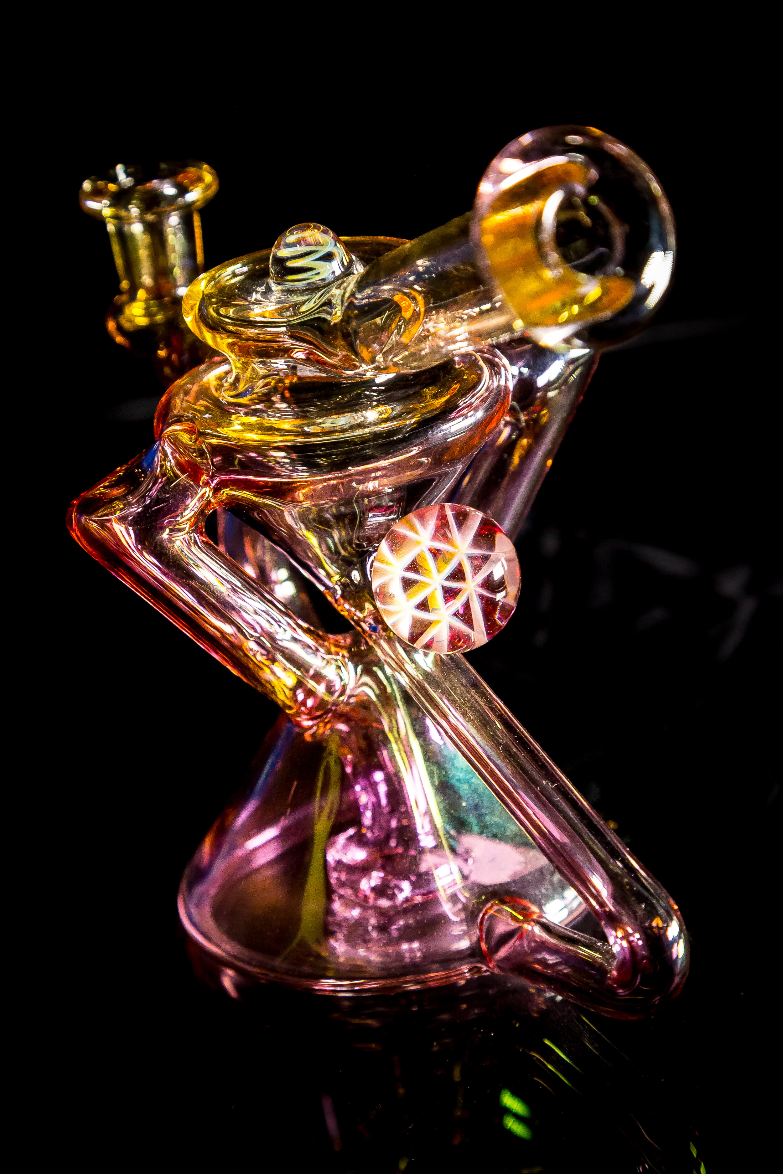 HiBred - COVID Series (35 of 50).jpg