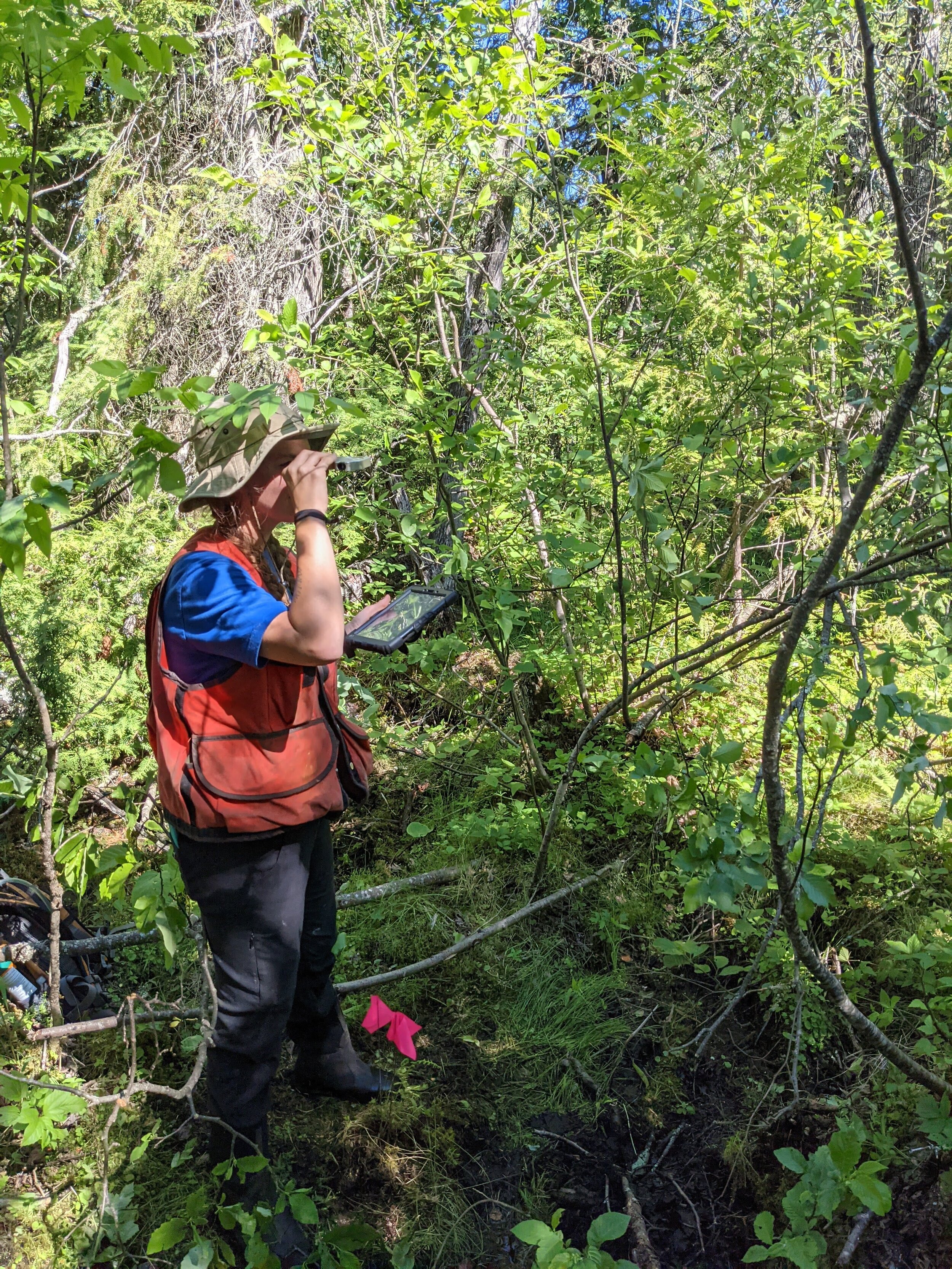 distance measurement during a vegetation survey