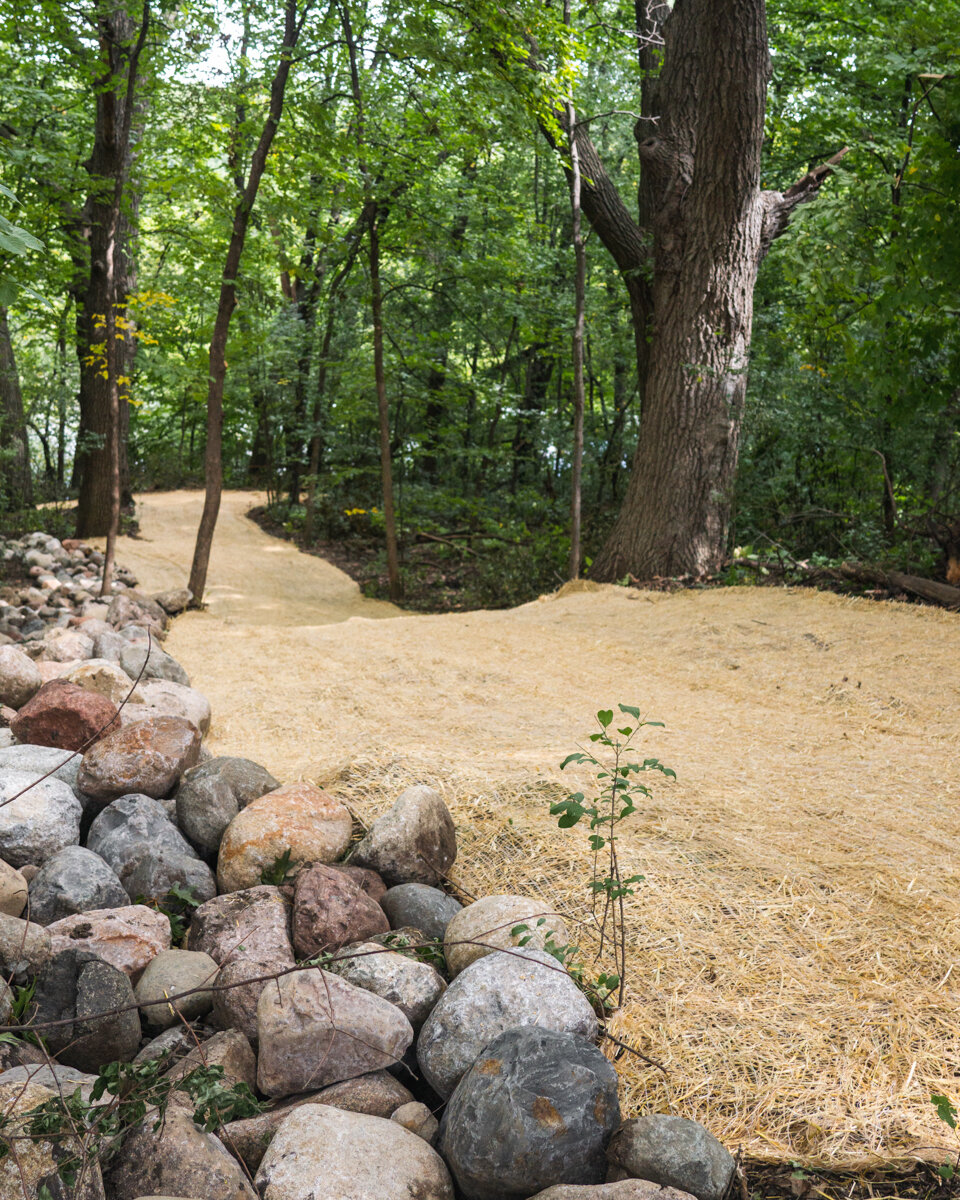 erosion control blanket and stone rip rap