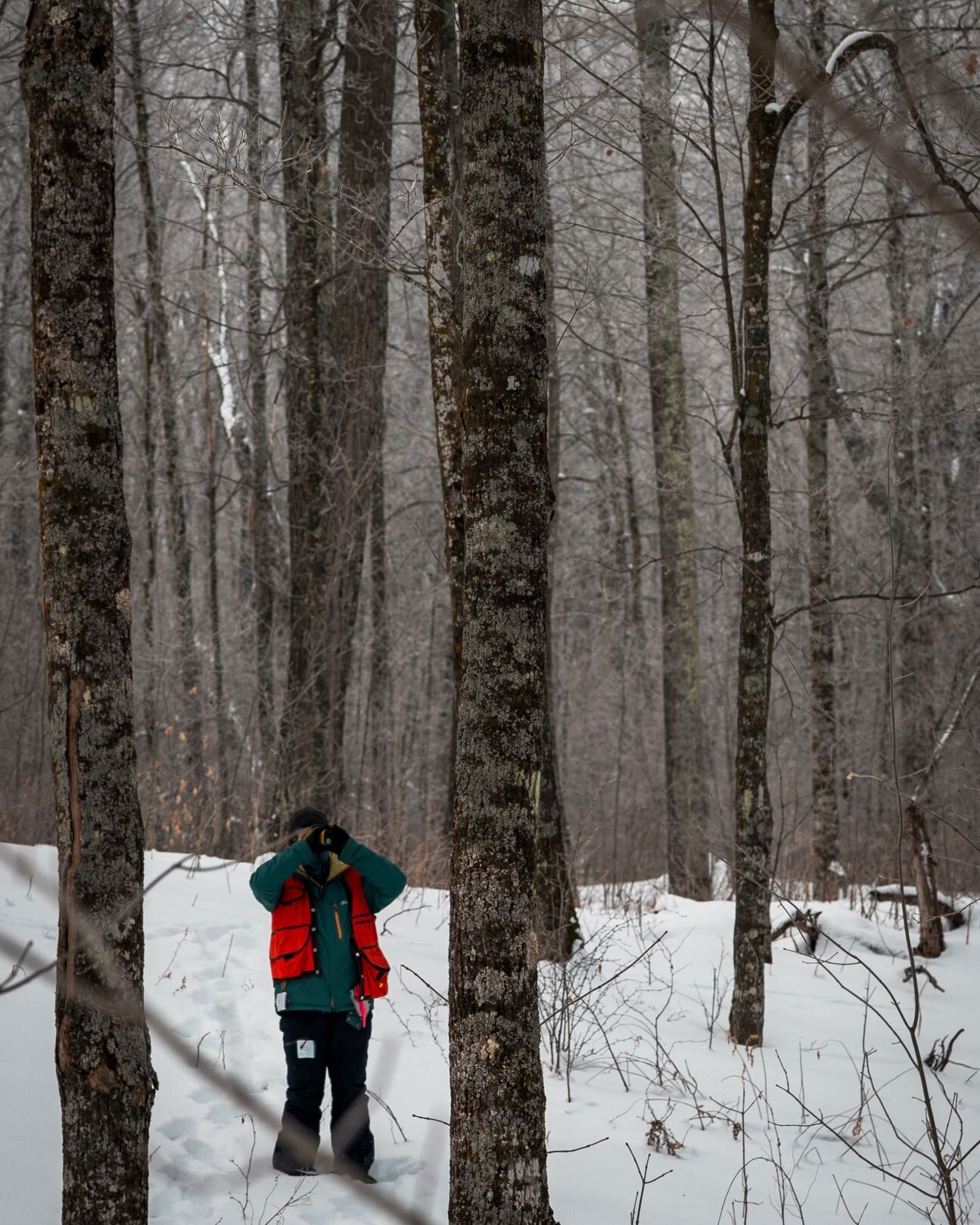 recording tree height data