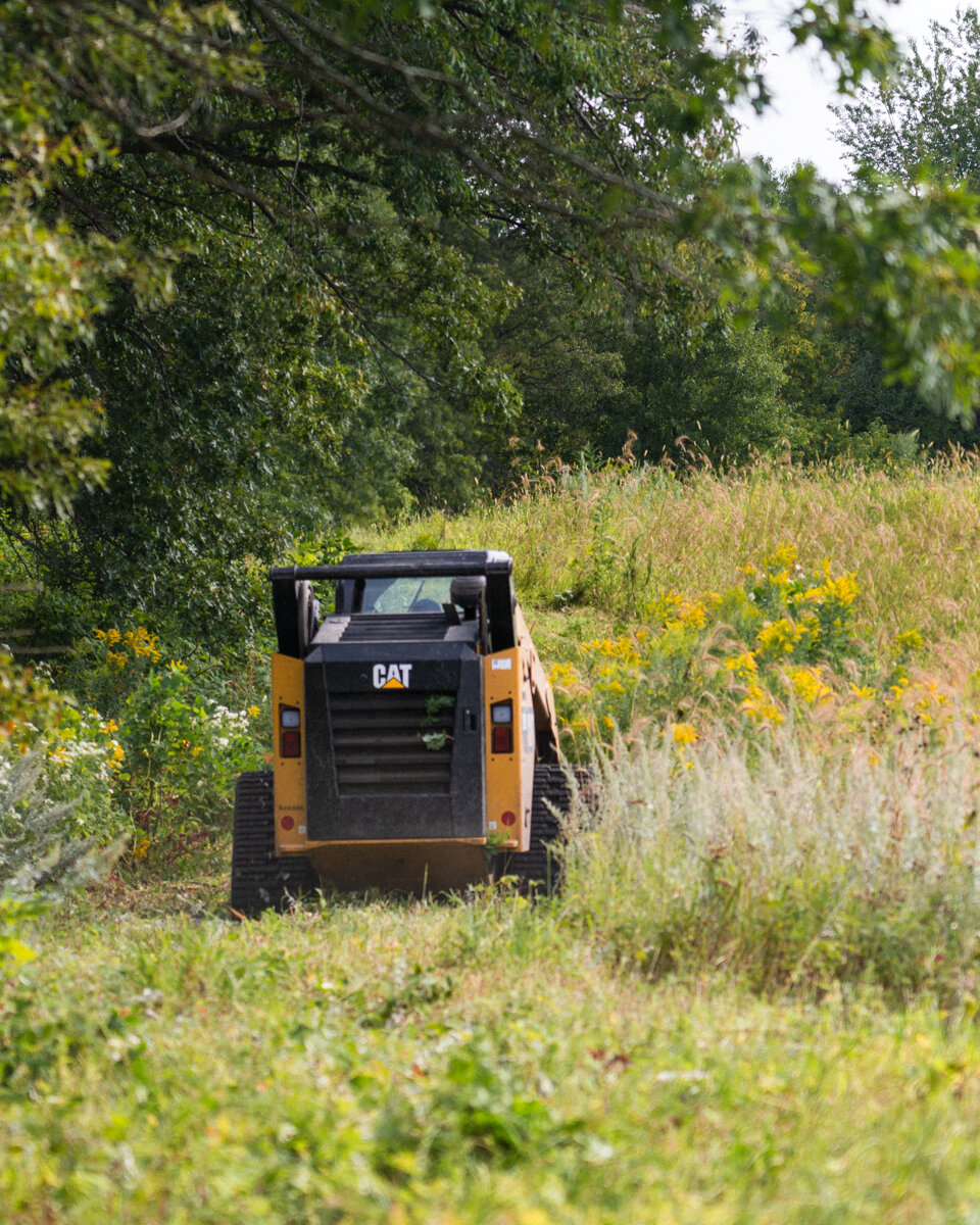 flail mowing a prairie with a skid steer
