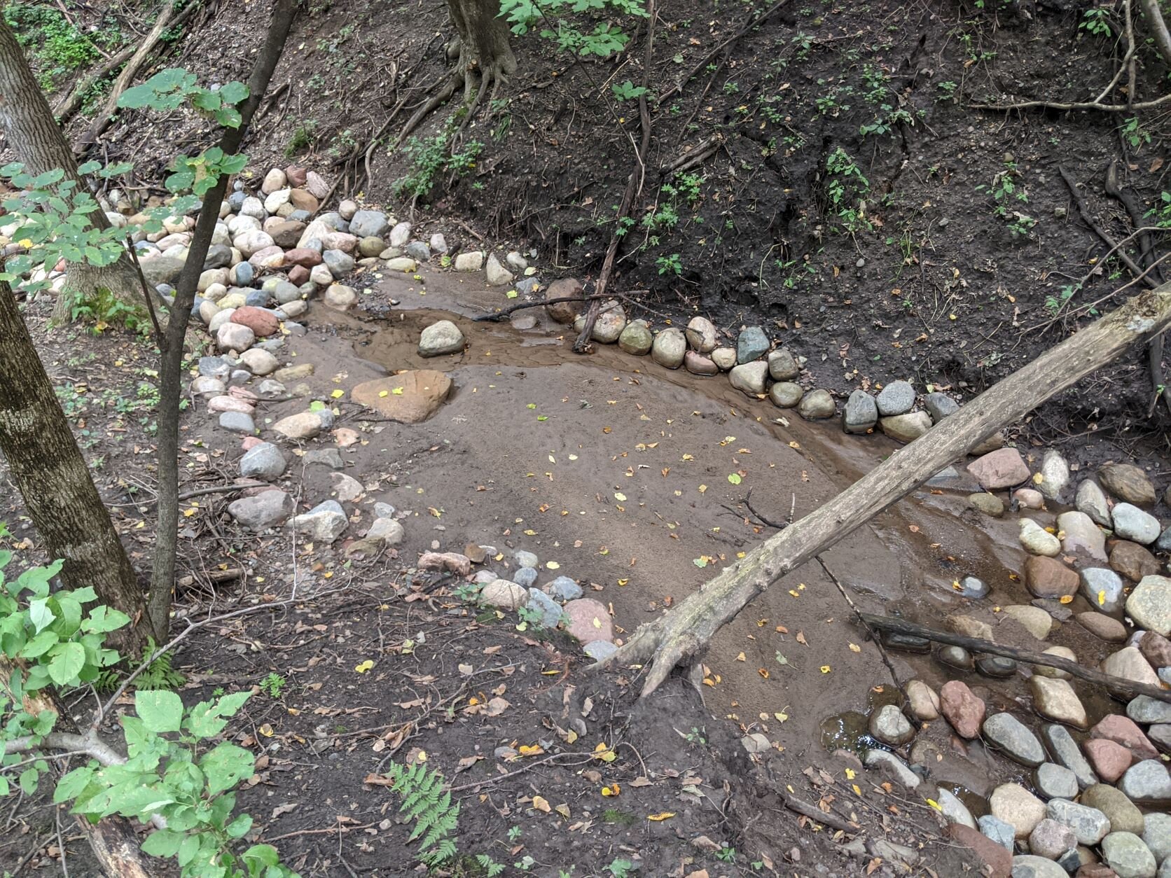 eroded stream bank