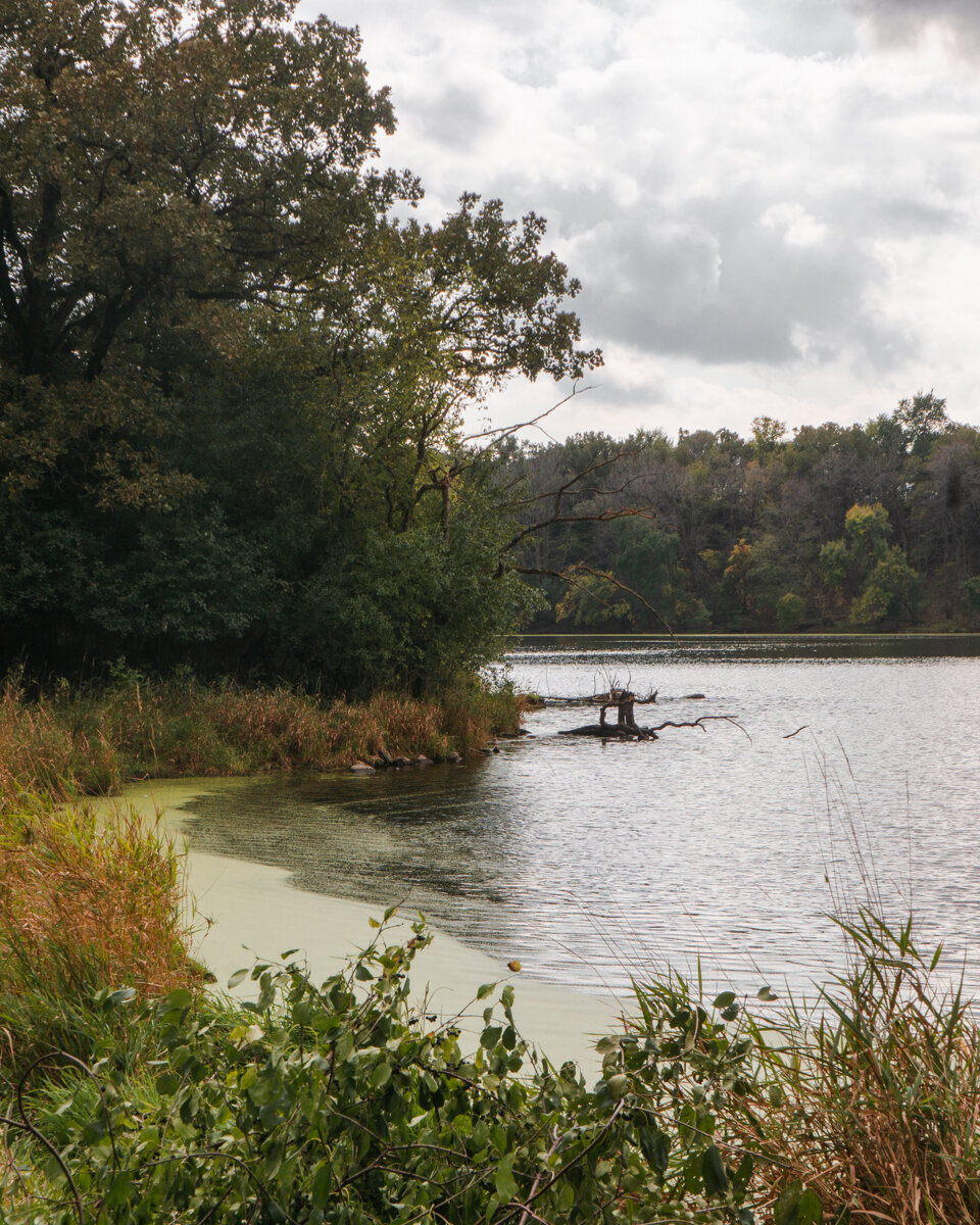 river shoreline