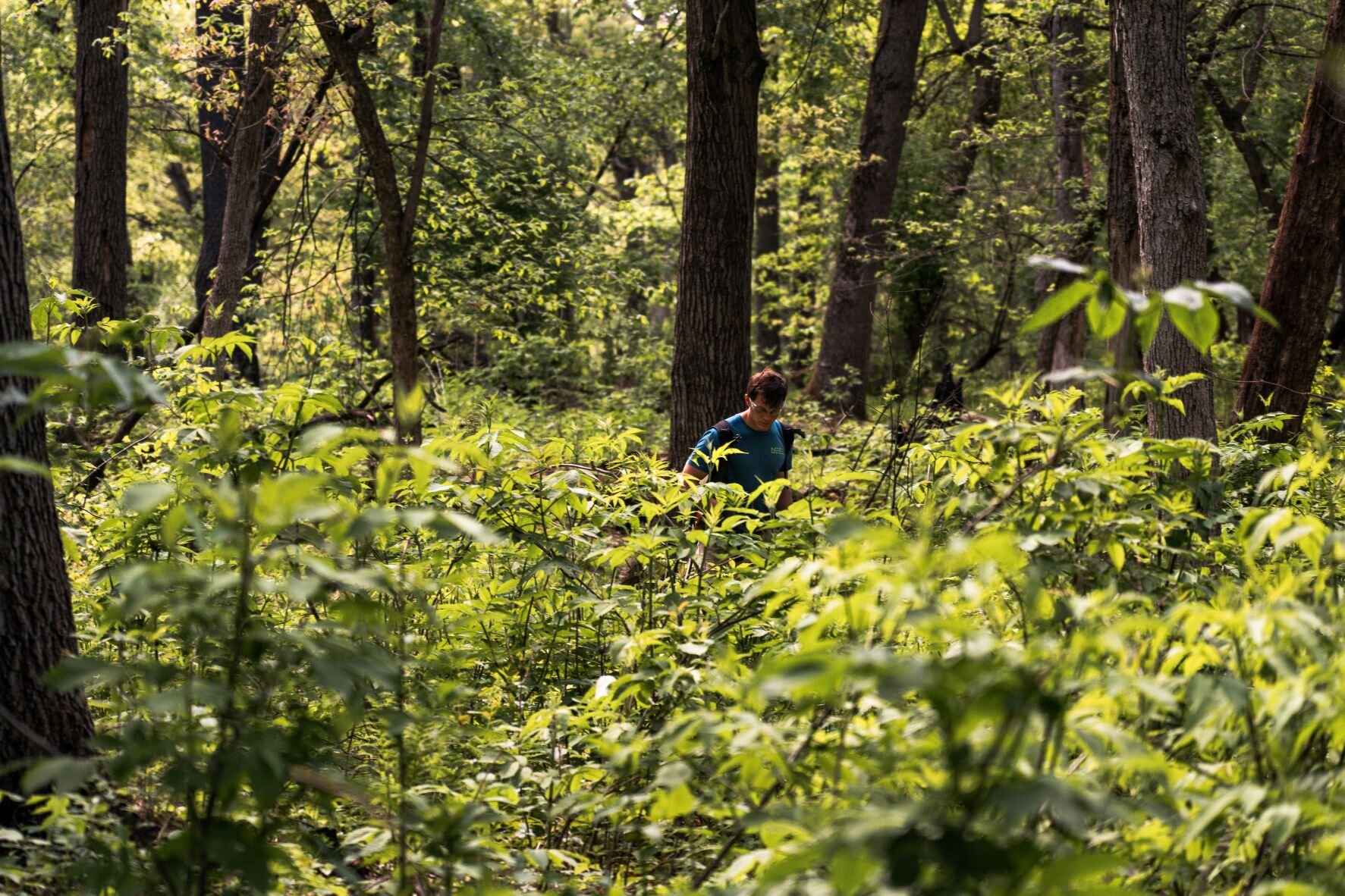 technician in the forest