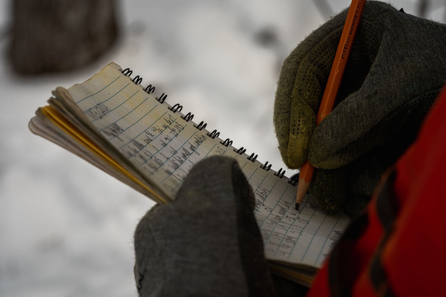 taking notes during a vegetation survey