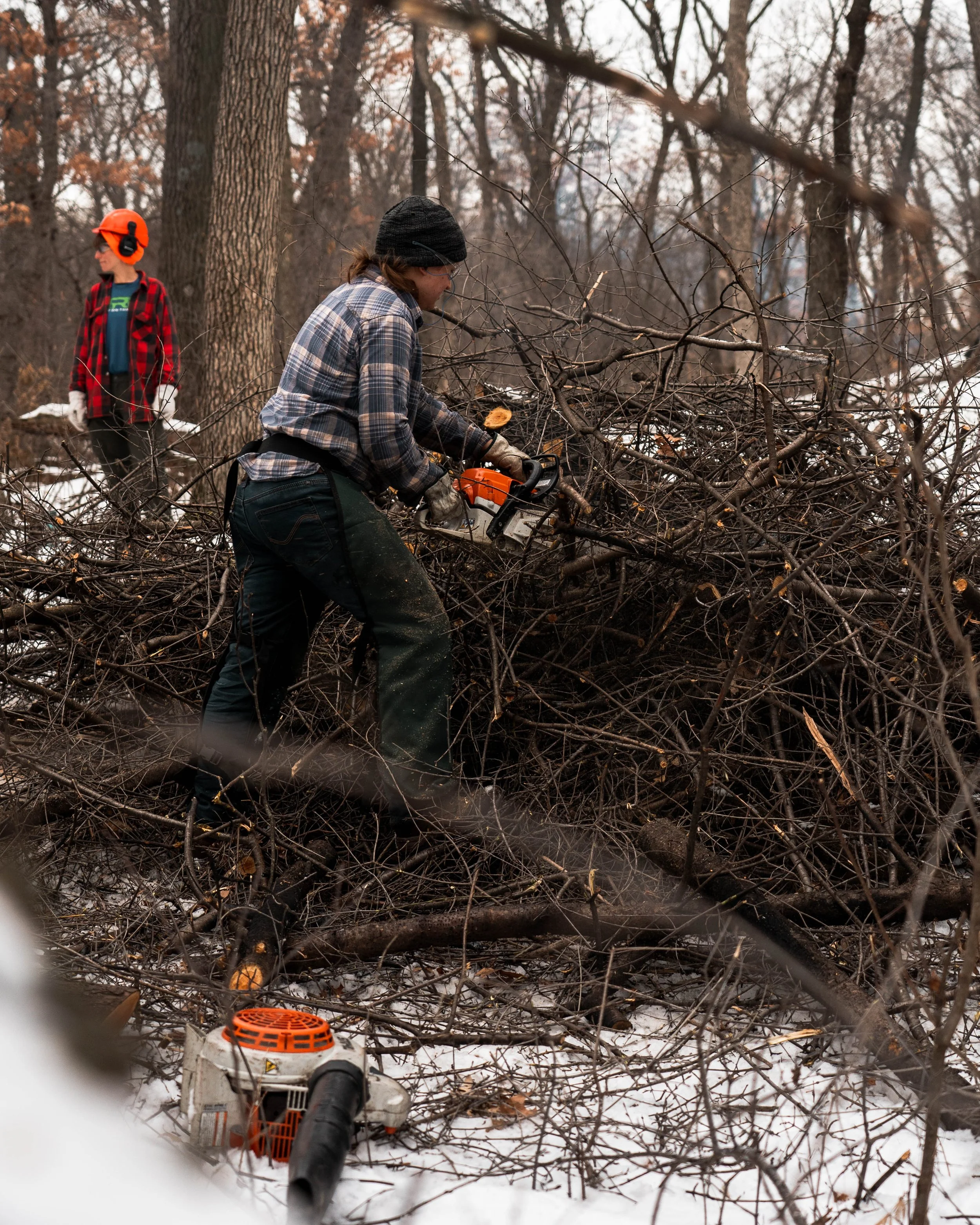 Unpacking the Process of Ecological Restoration