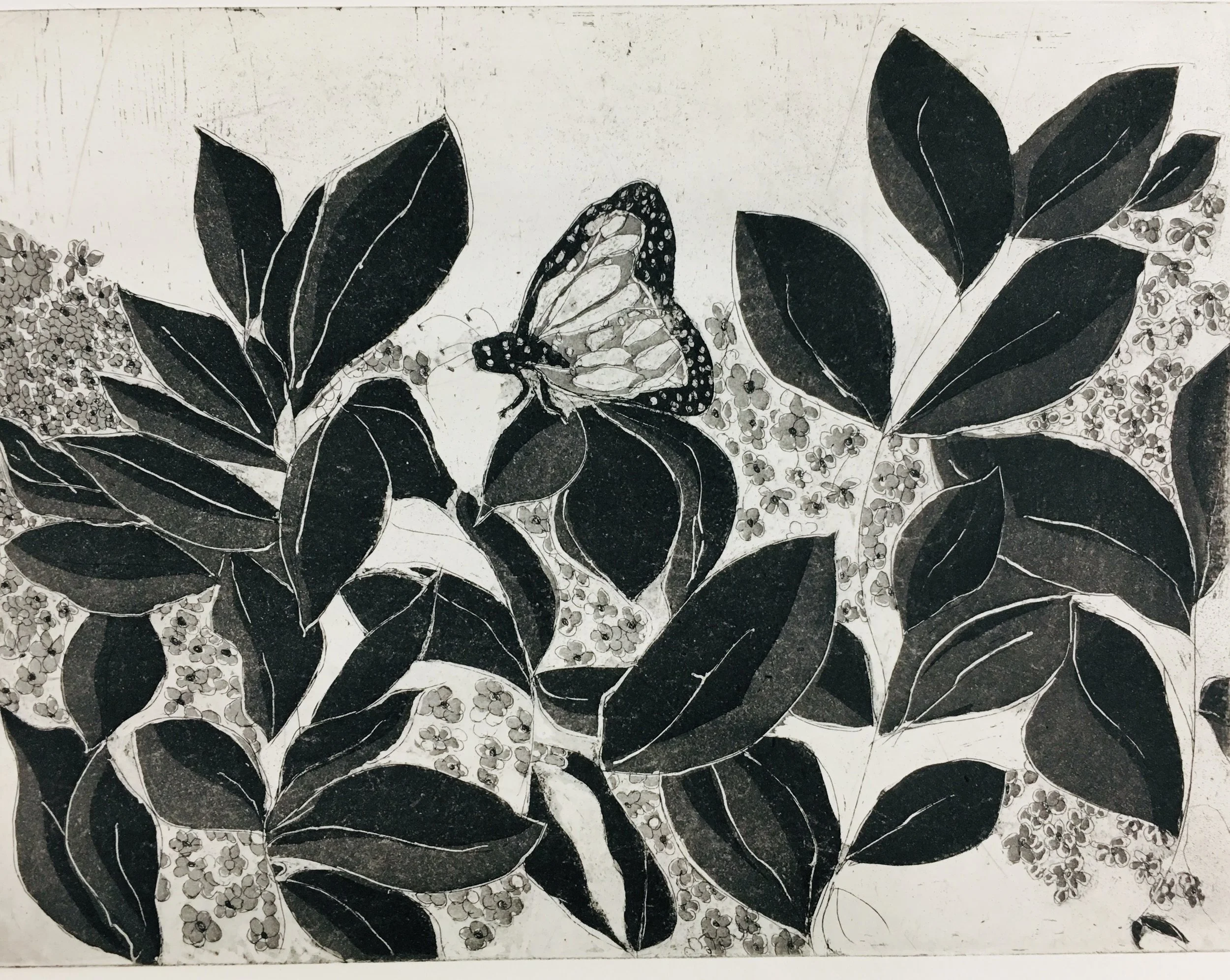 Butterfly with Flowers copper intaglio etching 14" x 12"