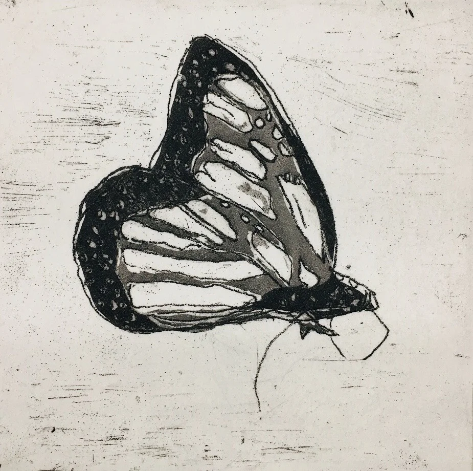 Monarch copper intaglio etching 3" x 3"