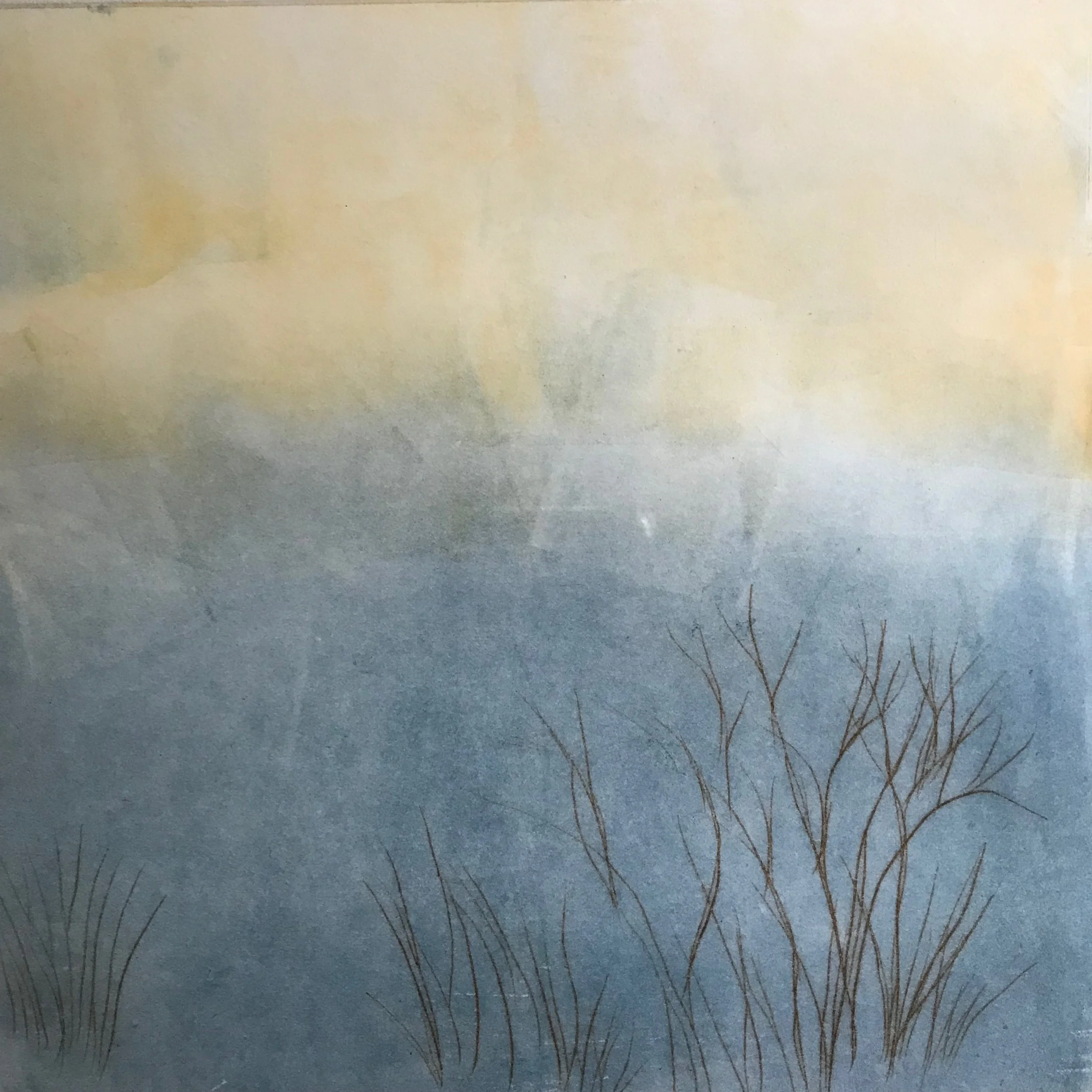 Morning Light