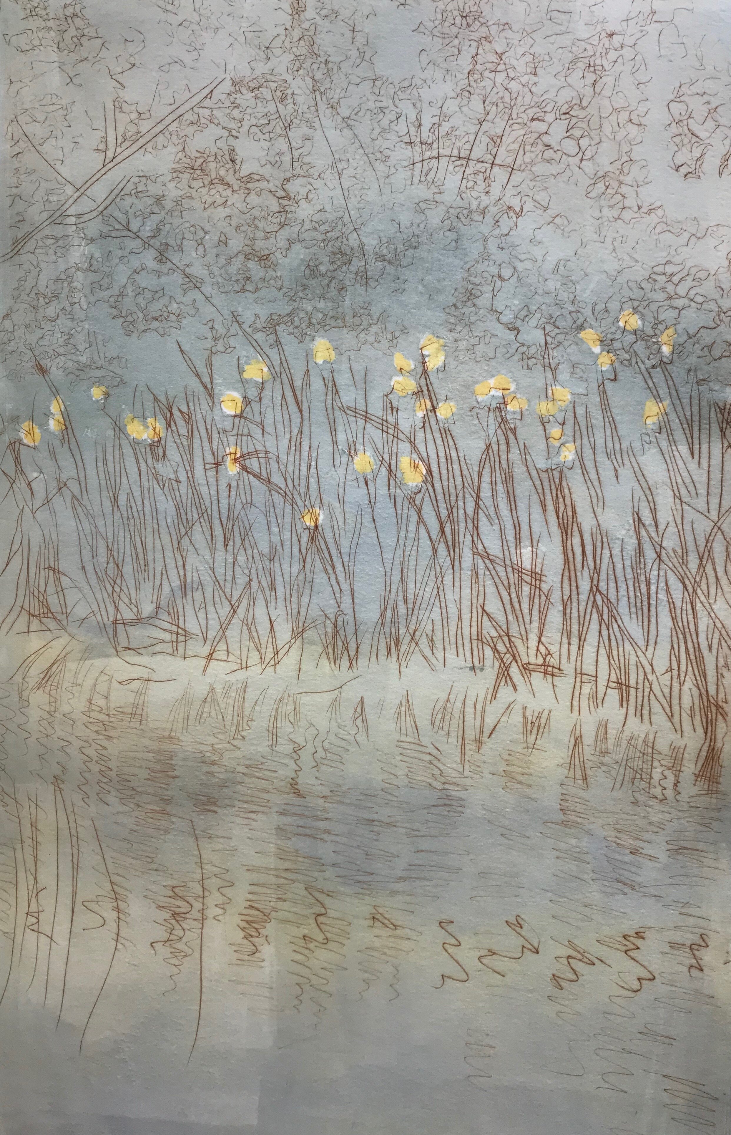 Marsh with Lilies