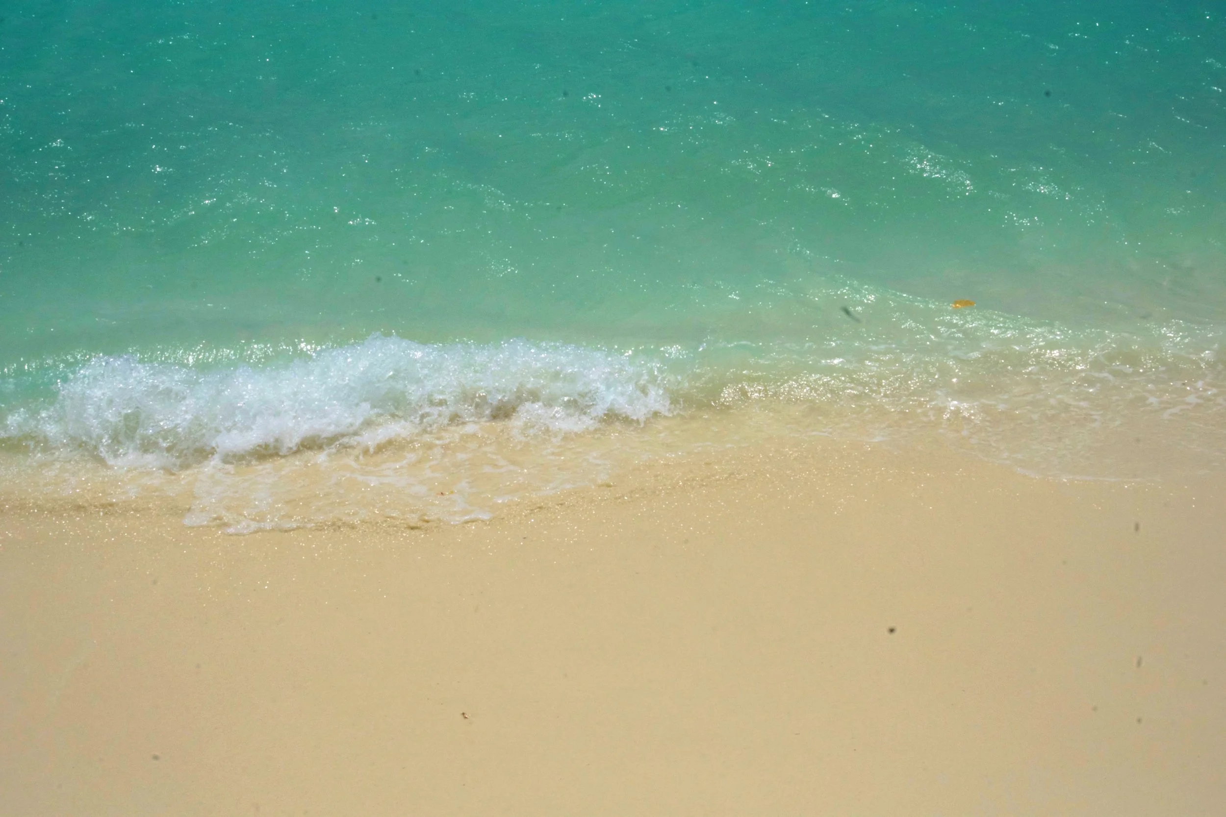 ARUBA DAY1-(2)_Fotor.jpg