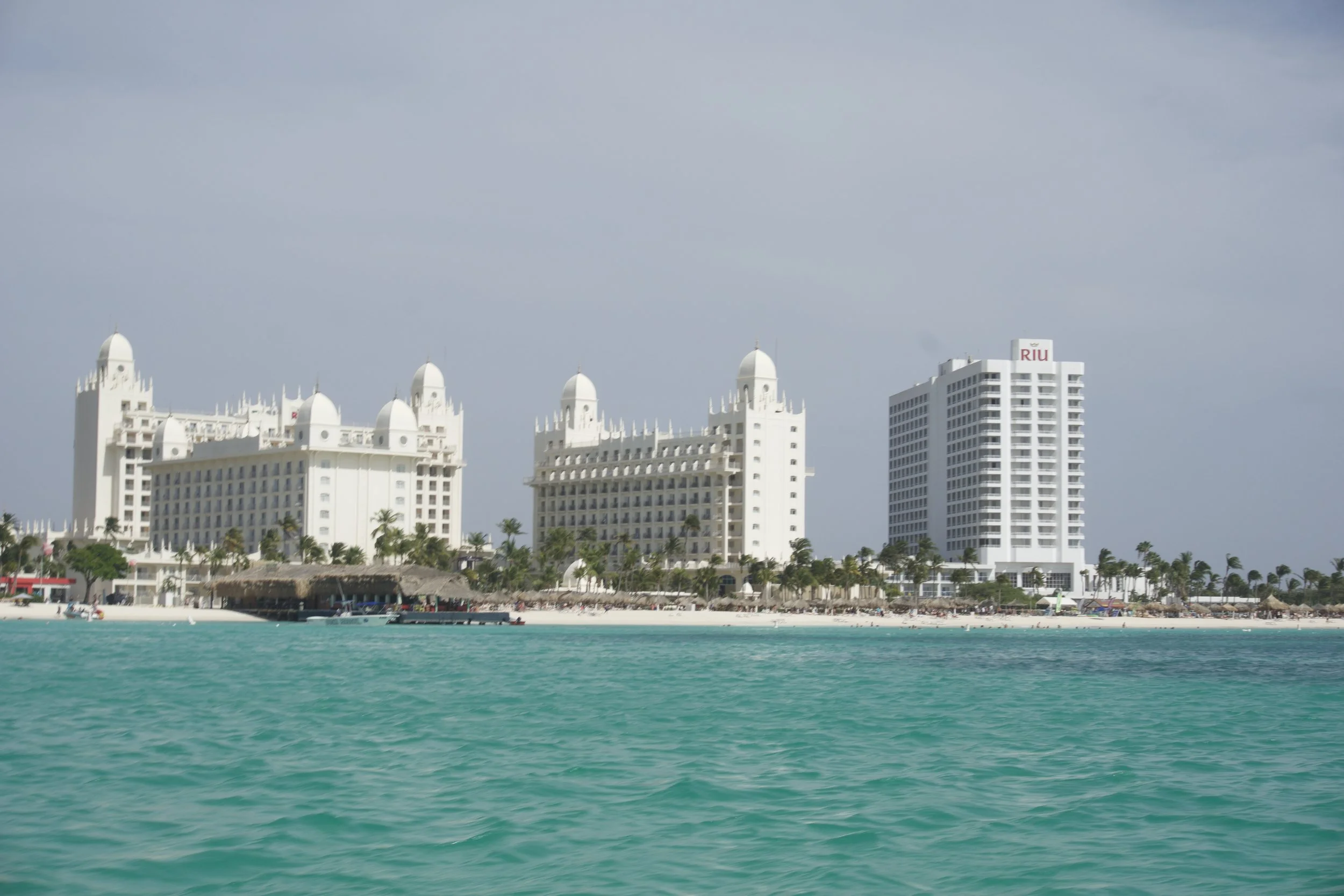 DSC02209.jpg