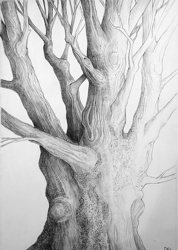 Tree Study 2